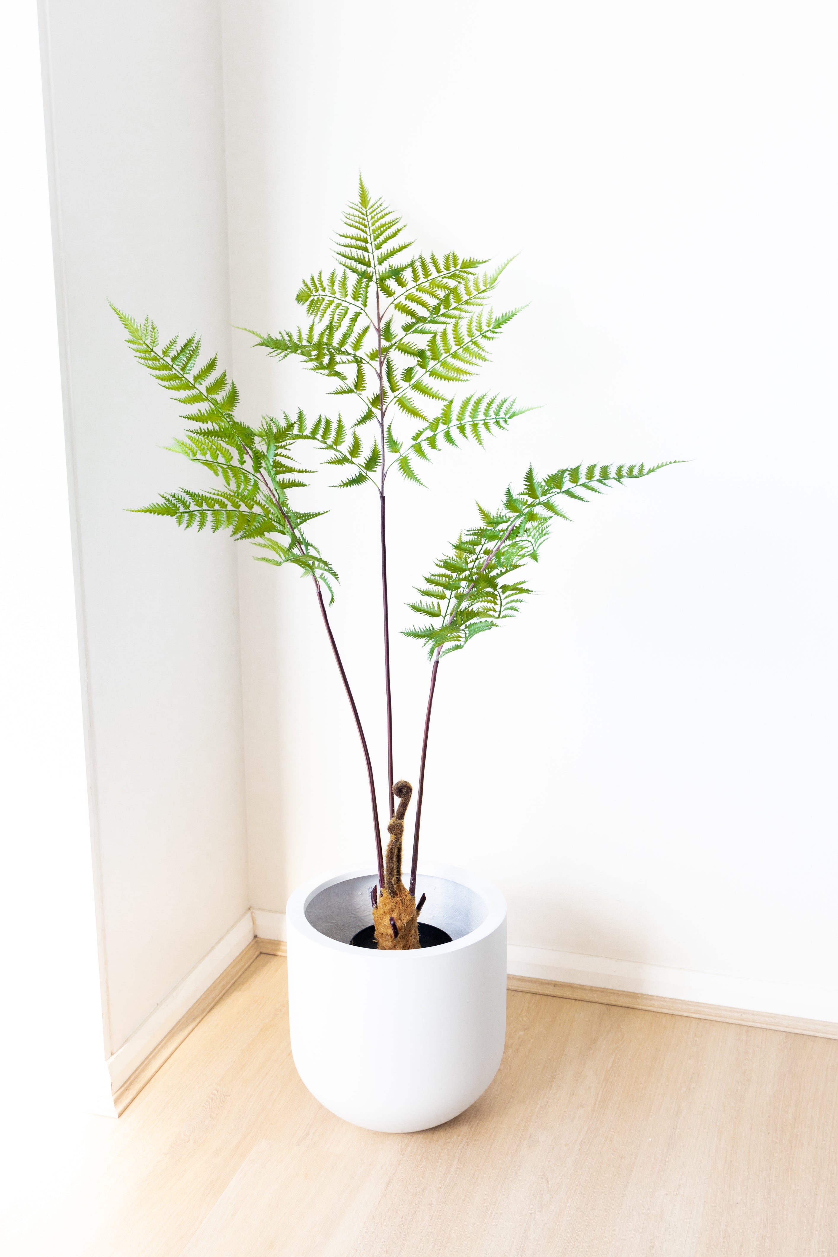 138cm Artificial Fern