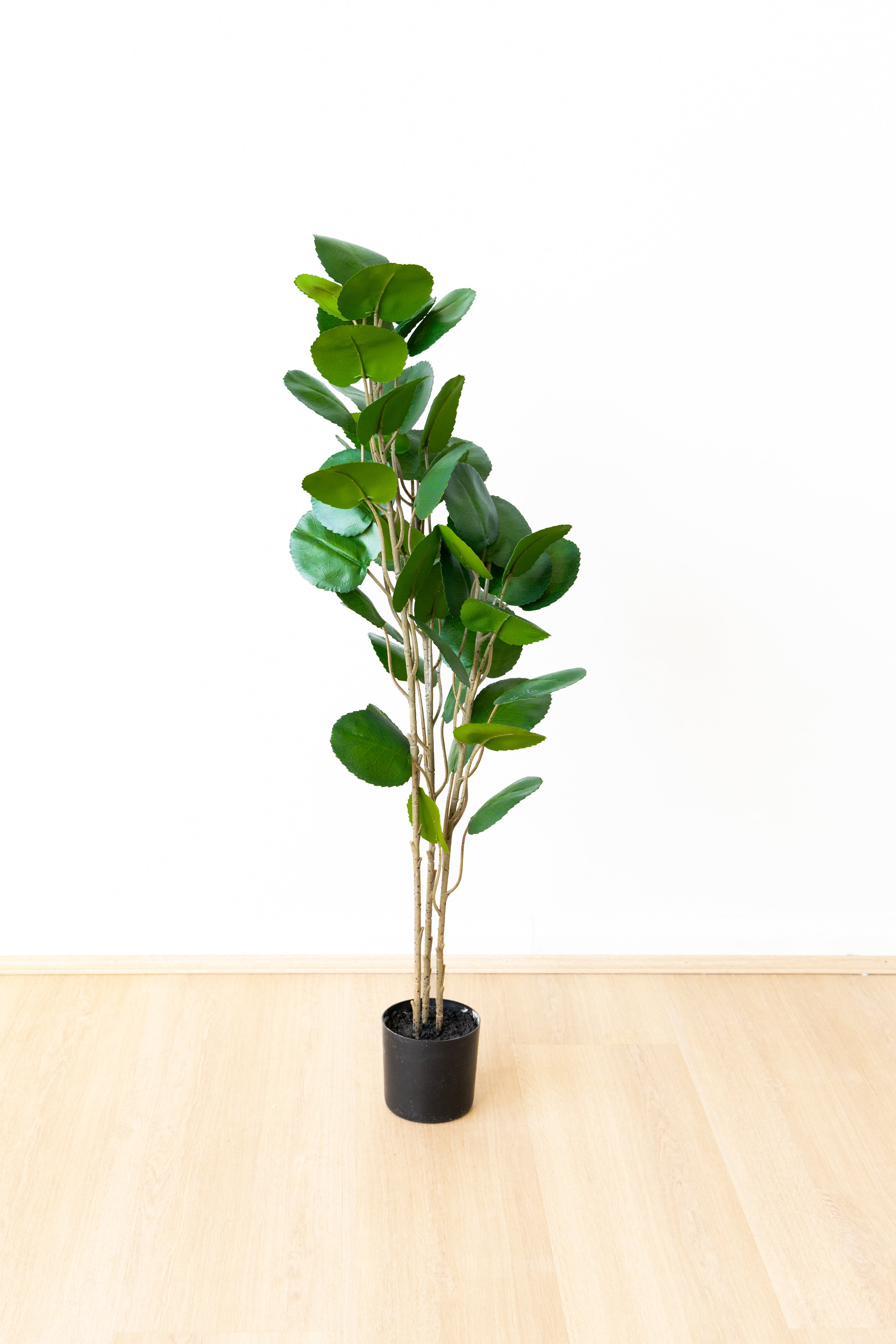 95cm Artificial Fig Tree