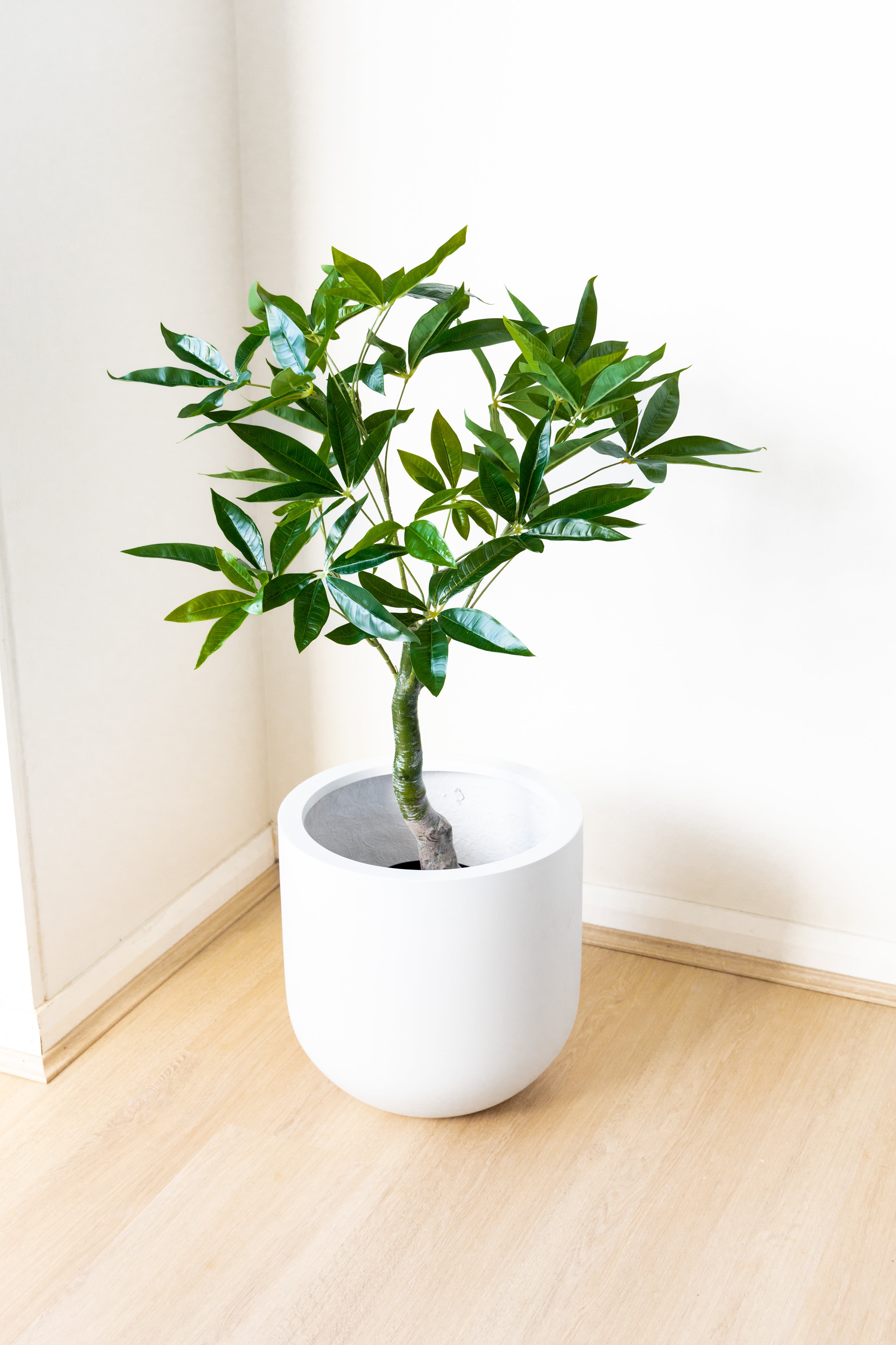 90cm Artificial Wealth Tree