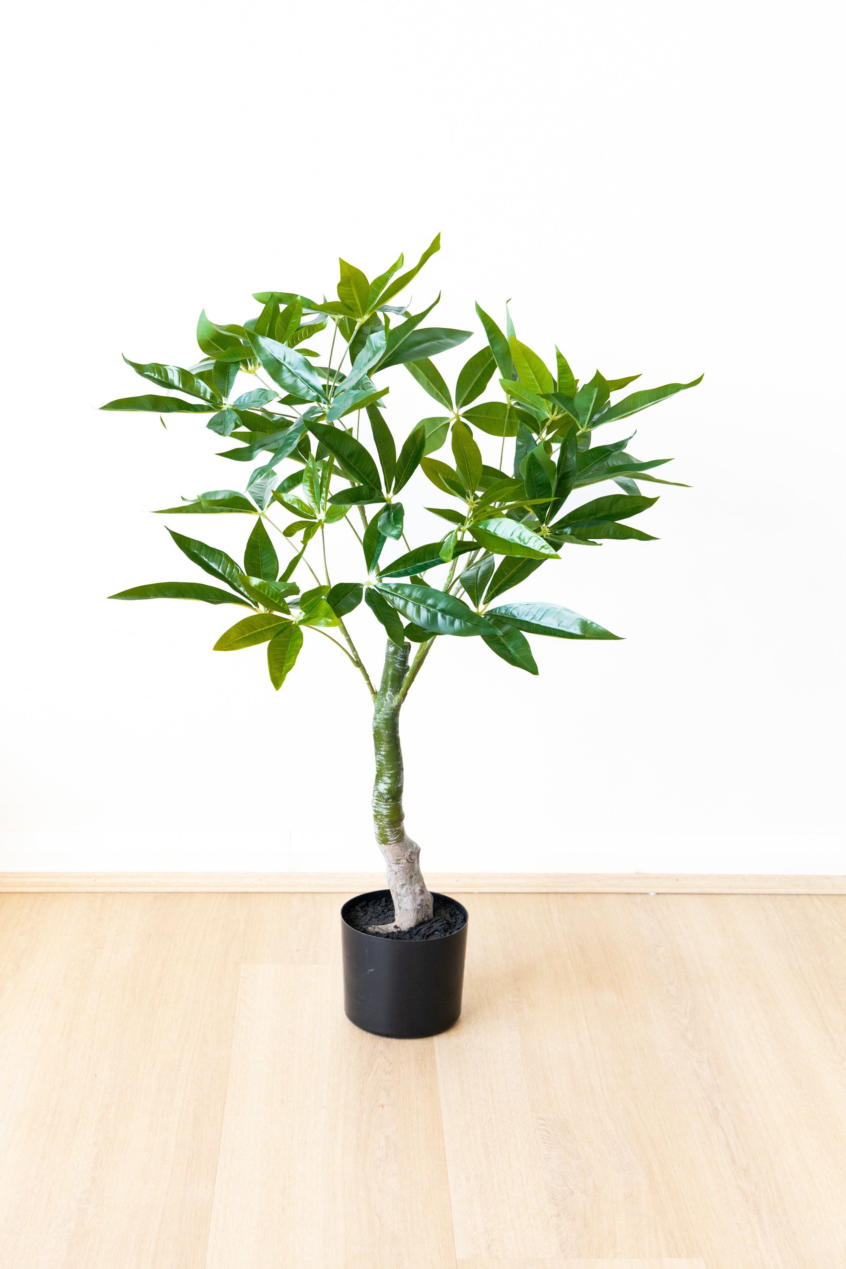 90cm Artificial Wealth Tree