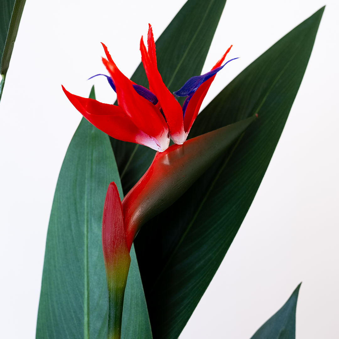 160cm Artificial Bird of Paradise