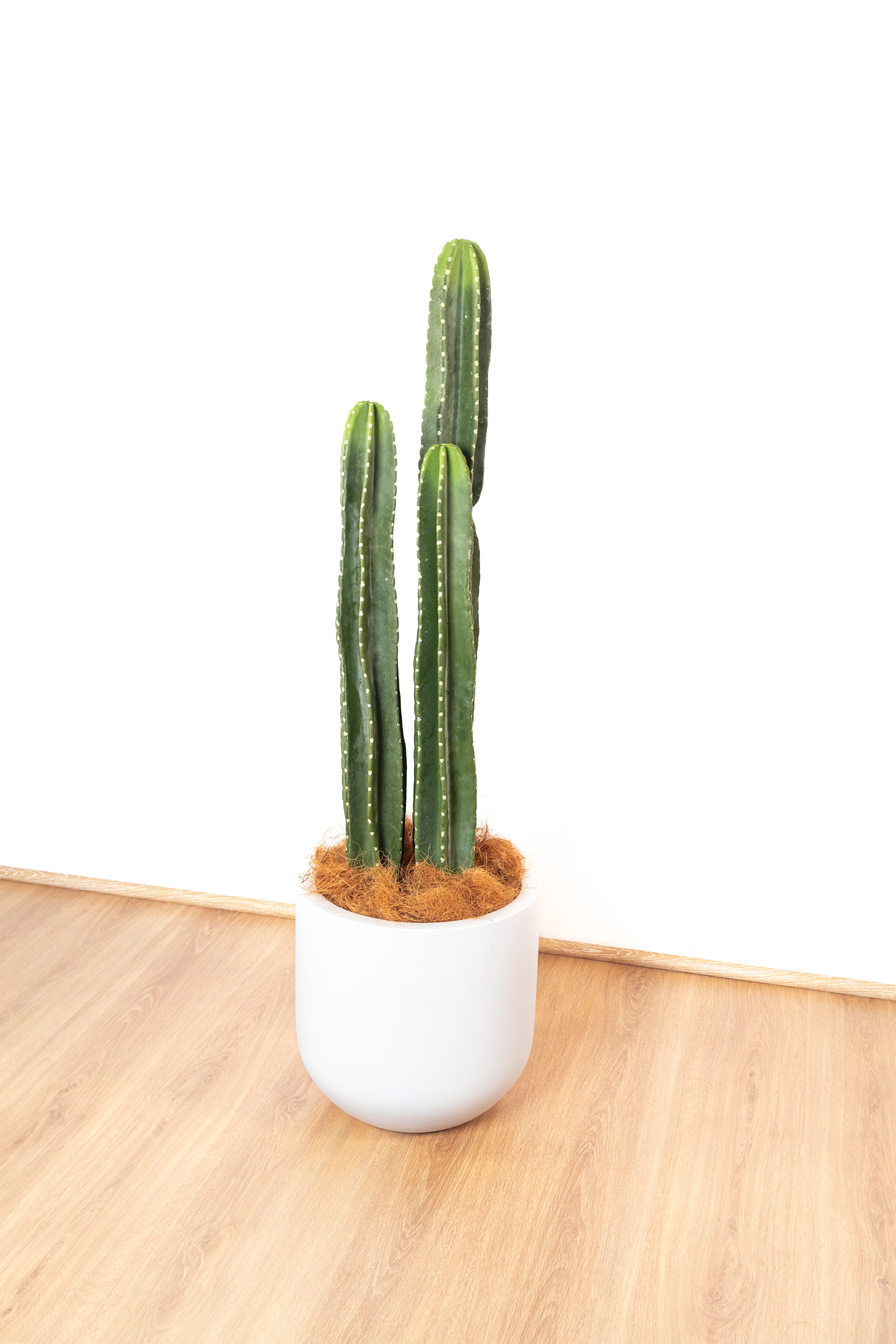 109cm Artificial Cactus