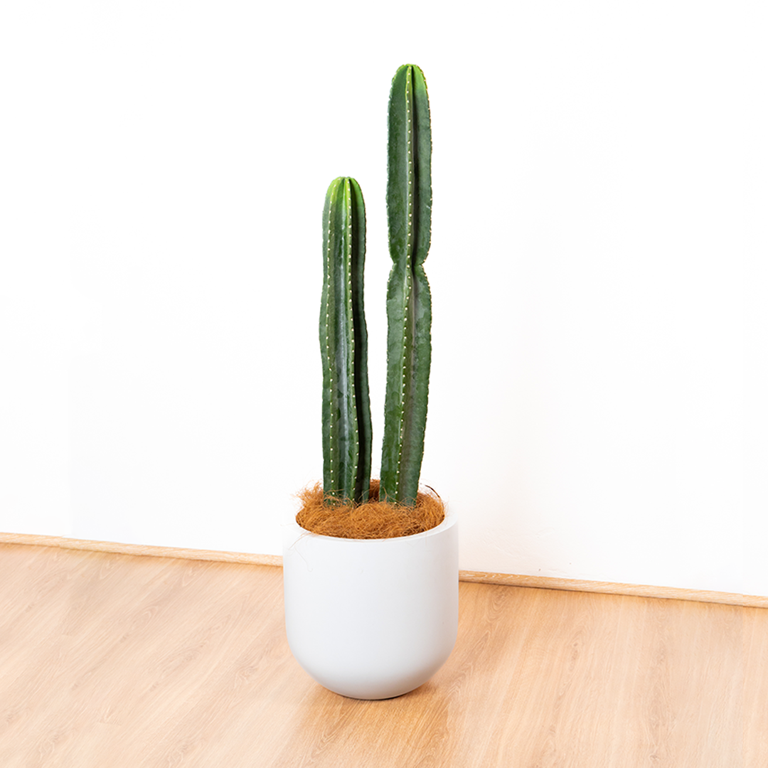 100cm artificial cactus