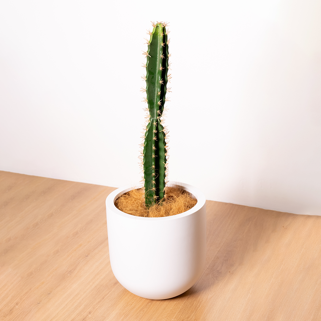 72cm Artificial Cactus