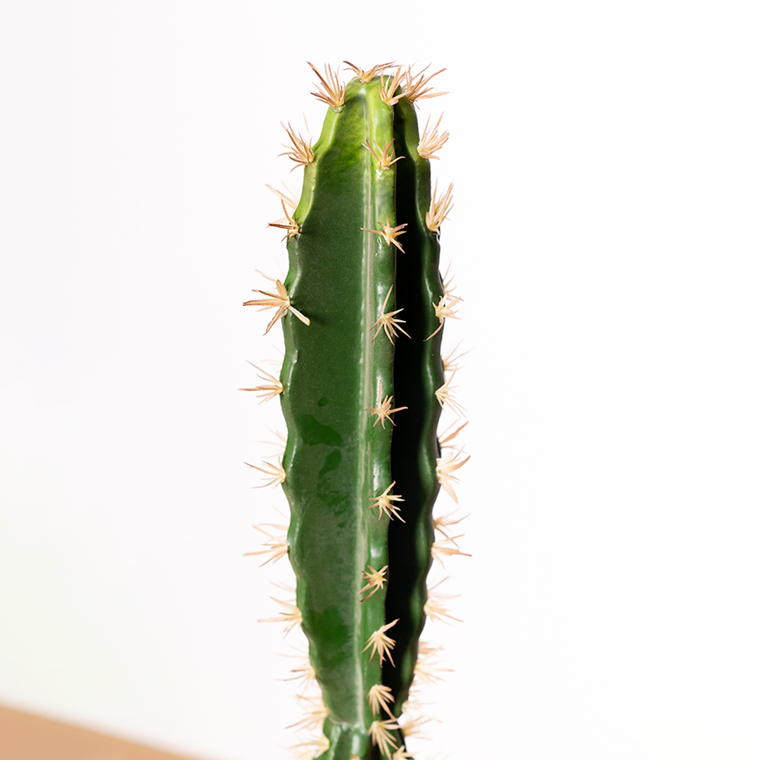 72cm Artificial Cactus