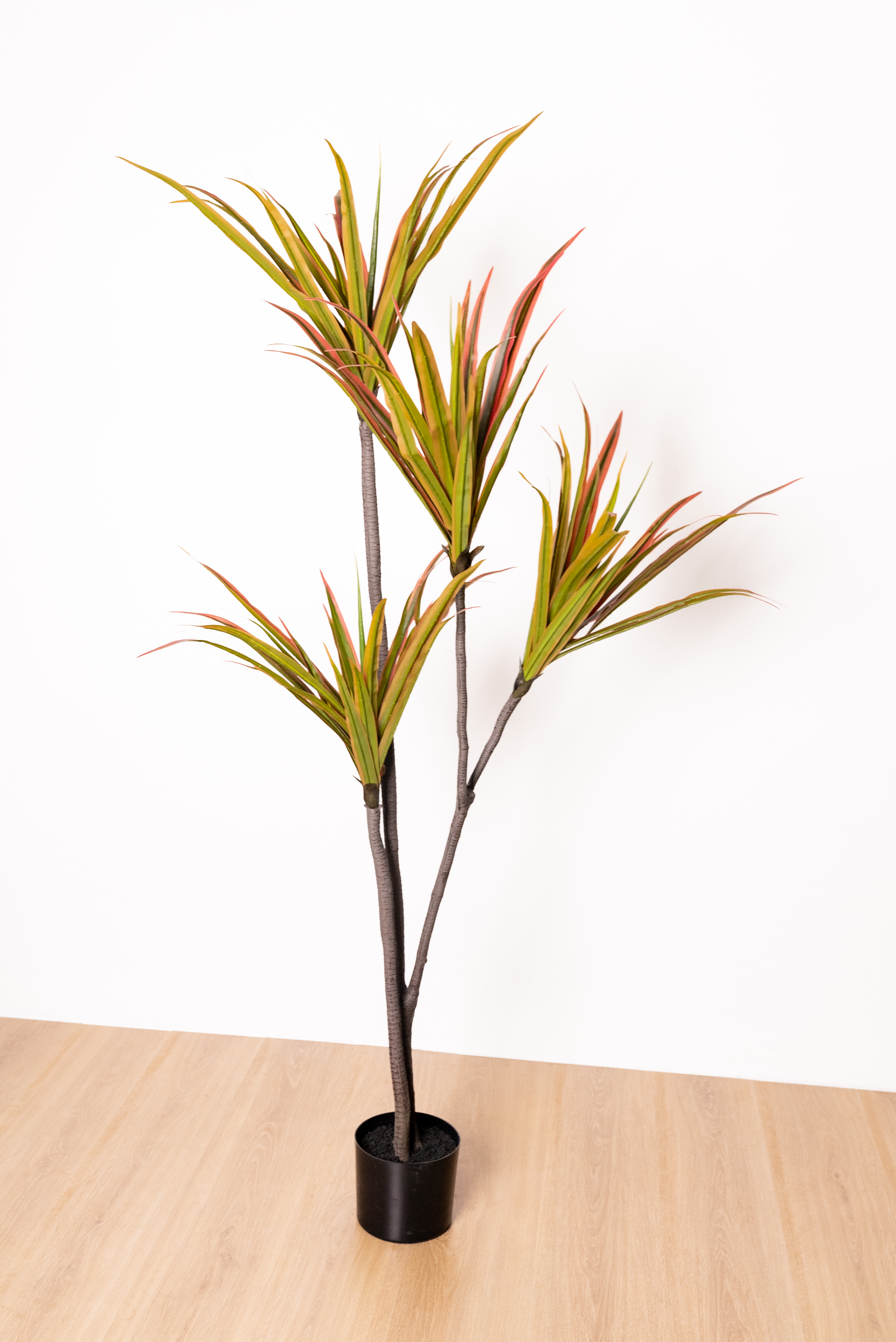 175cm Artificial Dracaena