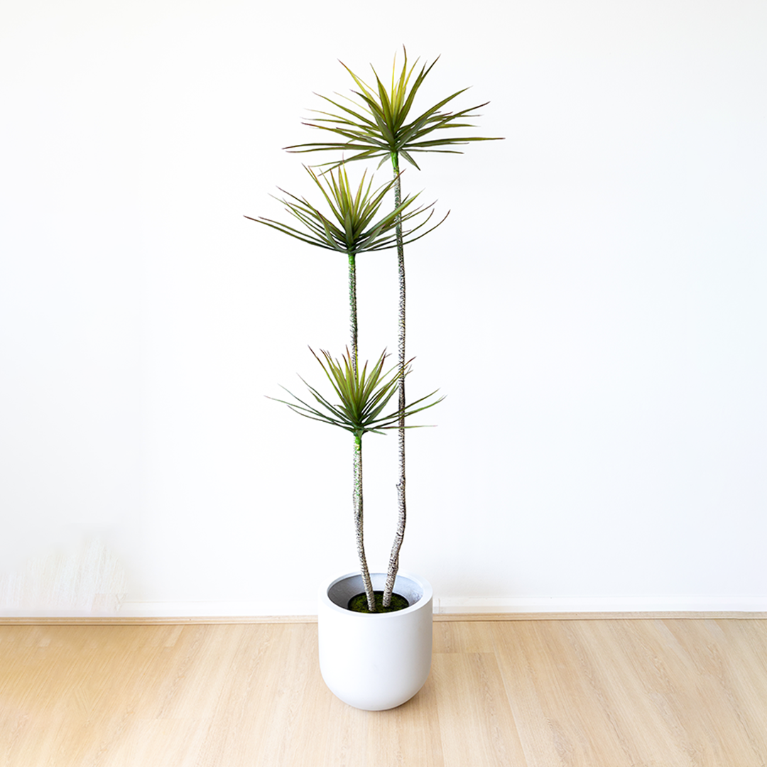 180cm Artificial Dracaena