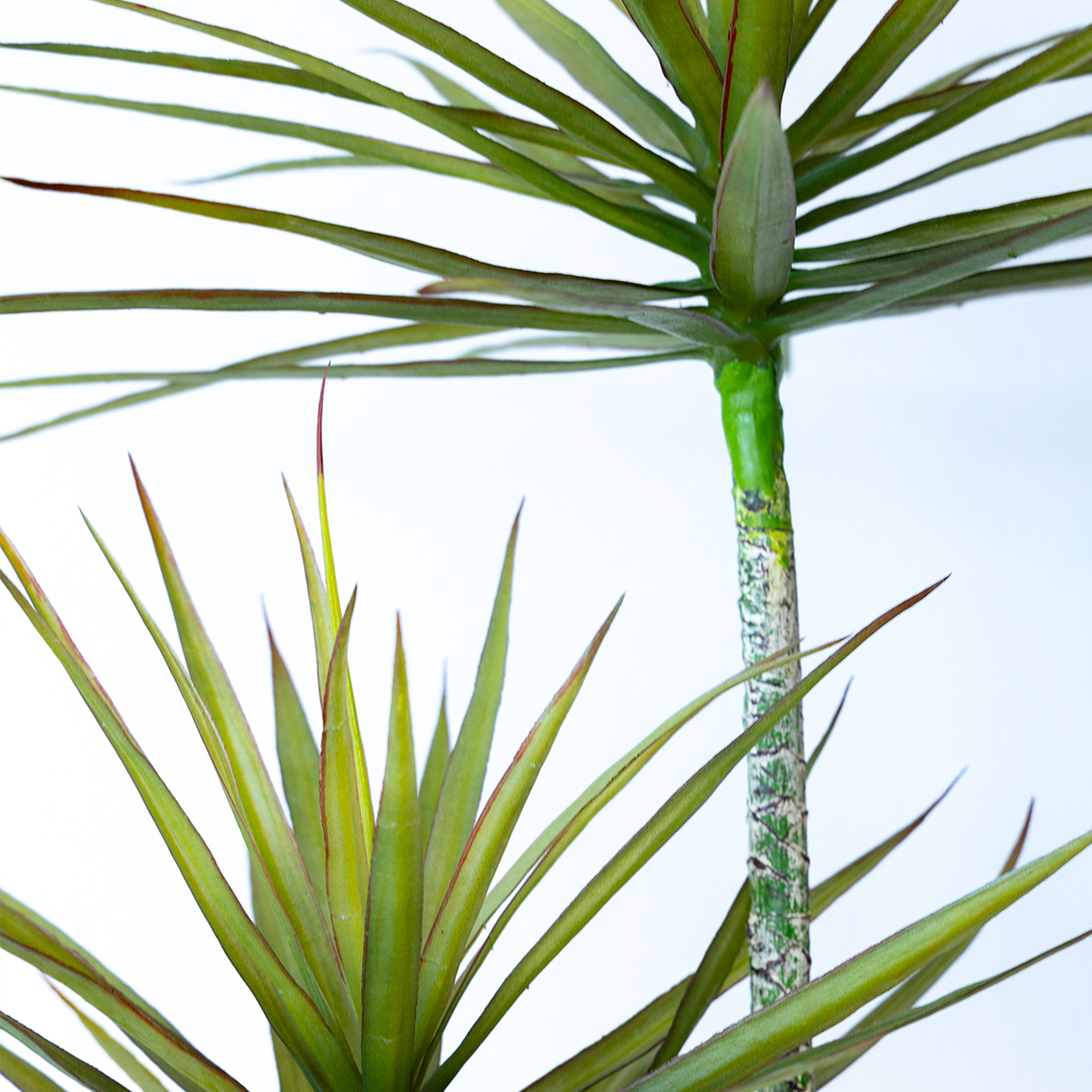 180cm Artificial Dracaena