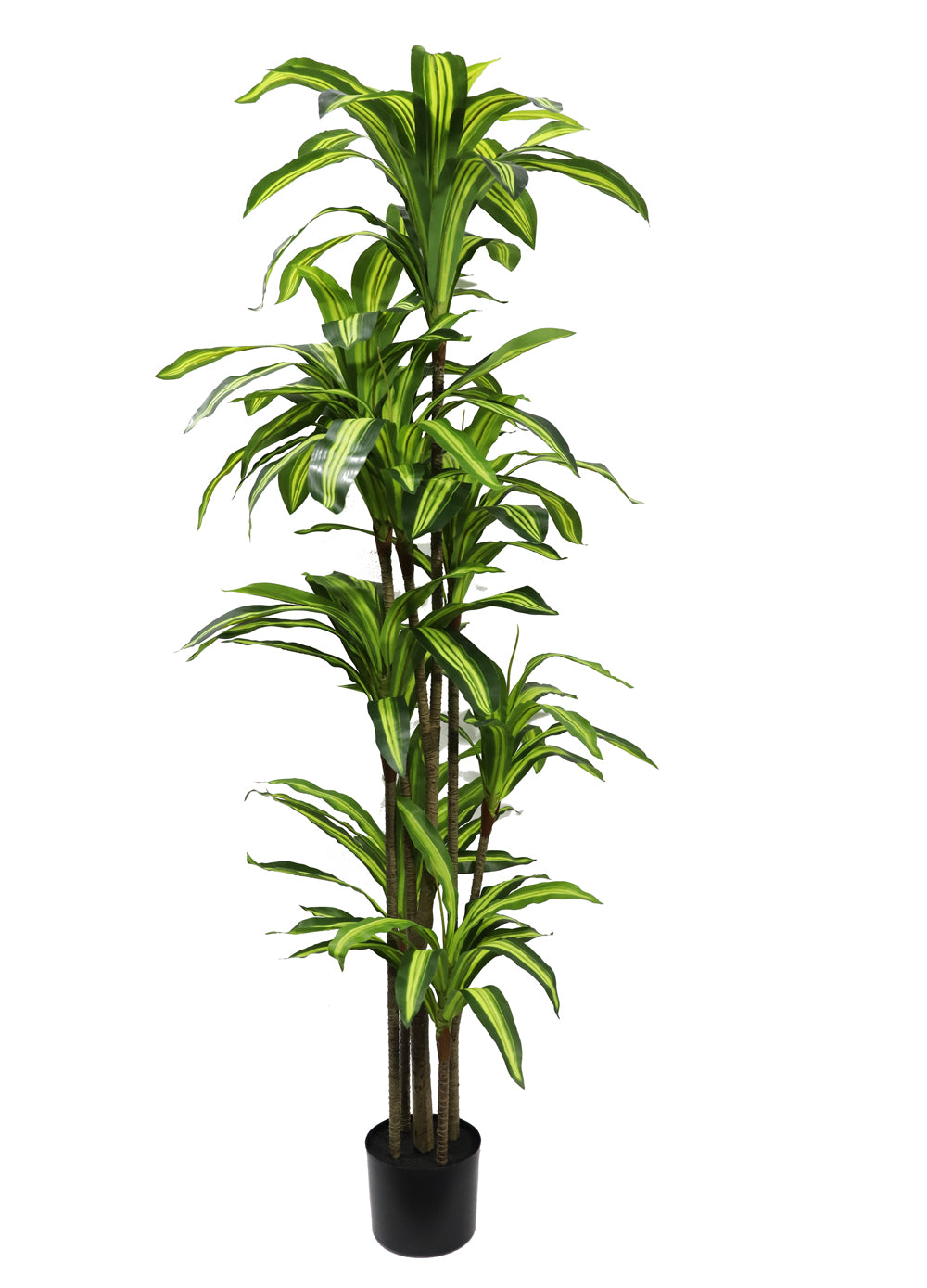 170cm Potted Artificial Dracaena