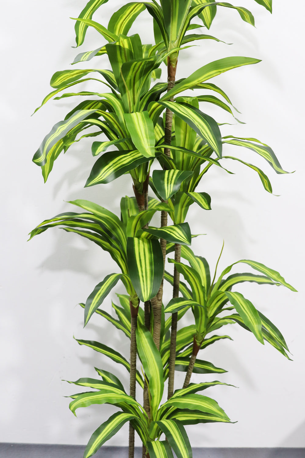 170cm Potted Artificial Dracaena