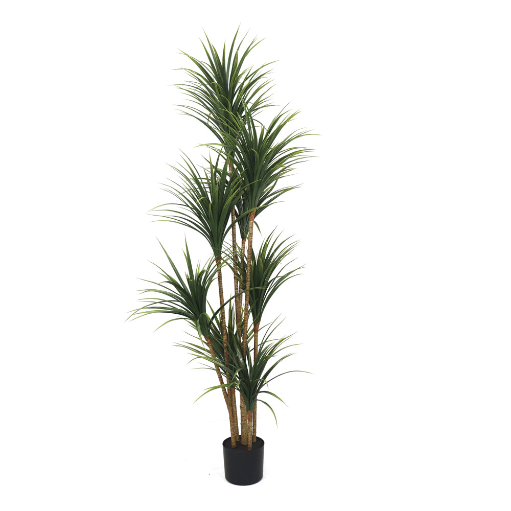 160cm Potted Artificial Dracaena