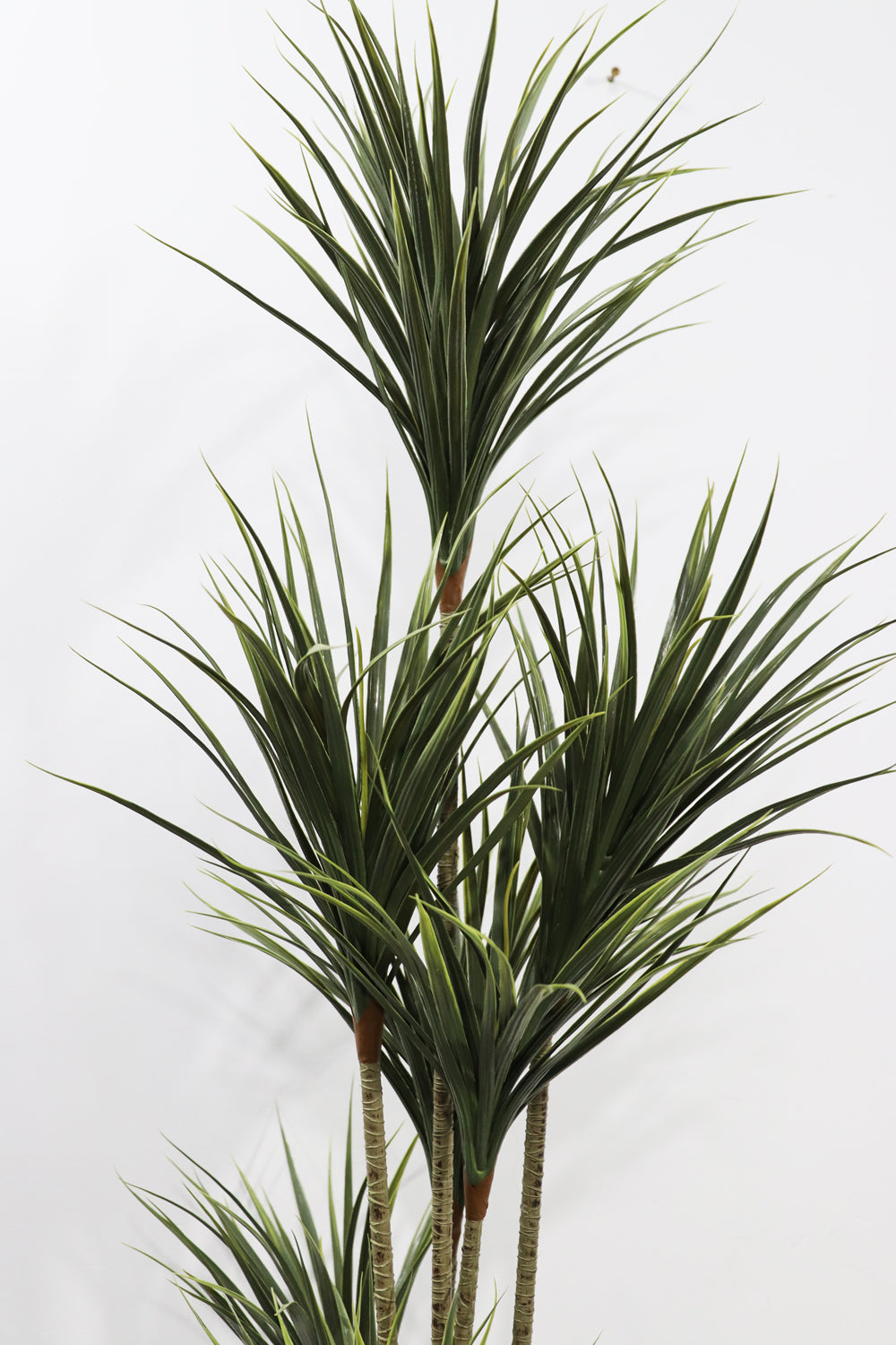 160cm Potted Artificial Dracaena