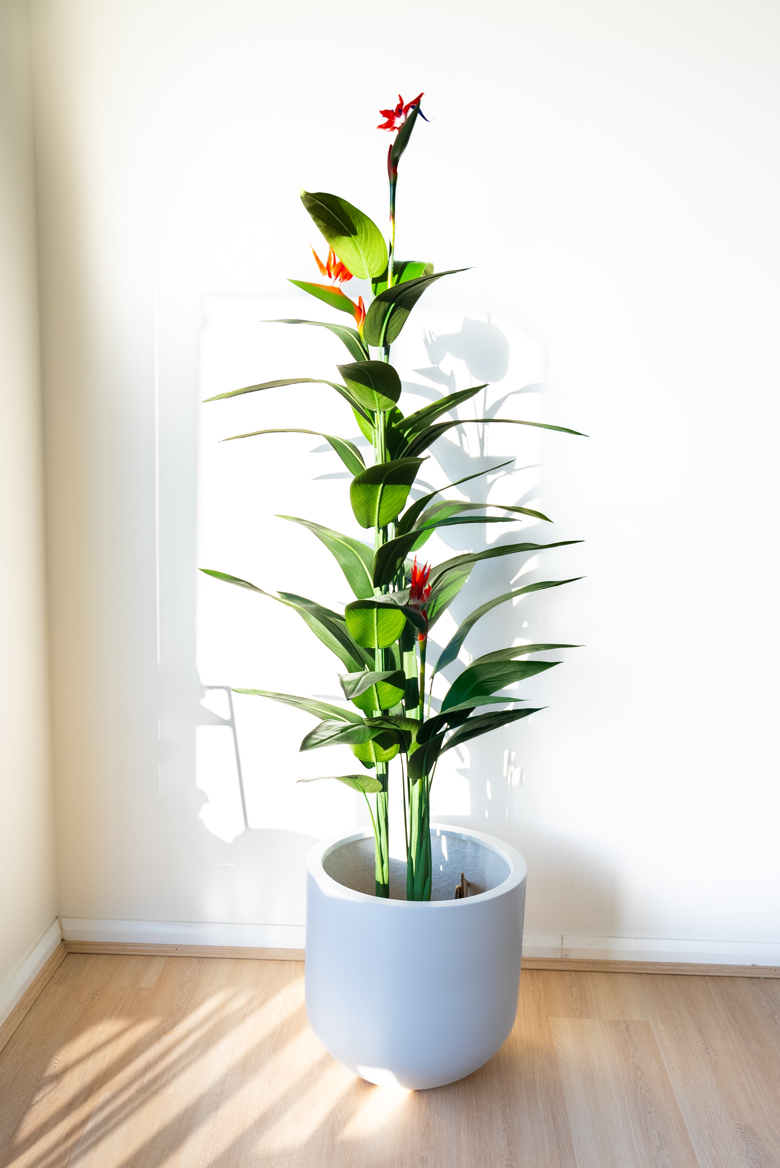 180cm Artificial Bird of Paradise