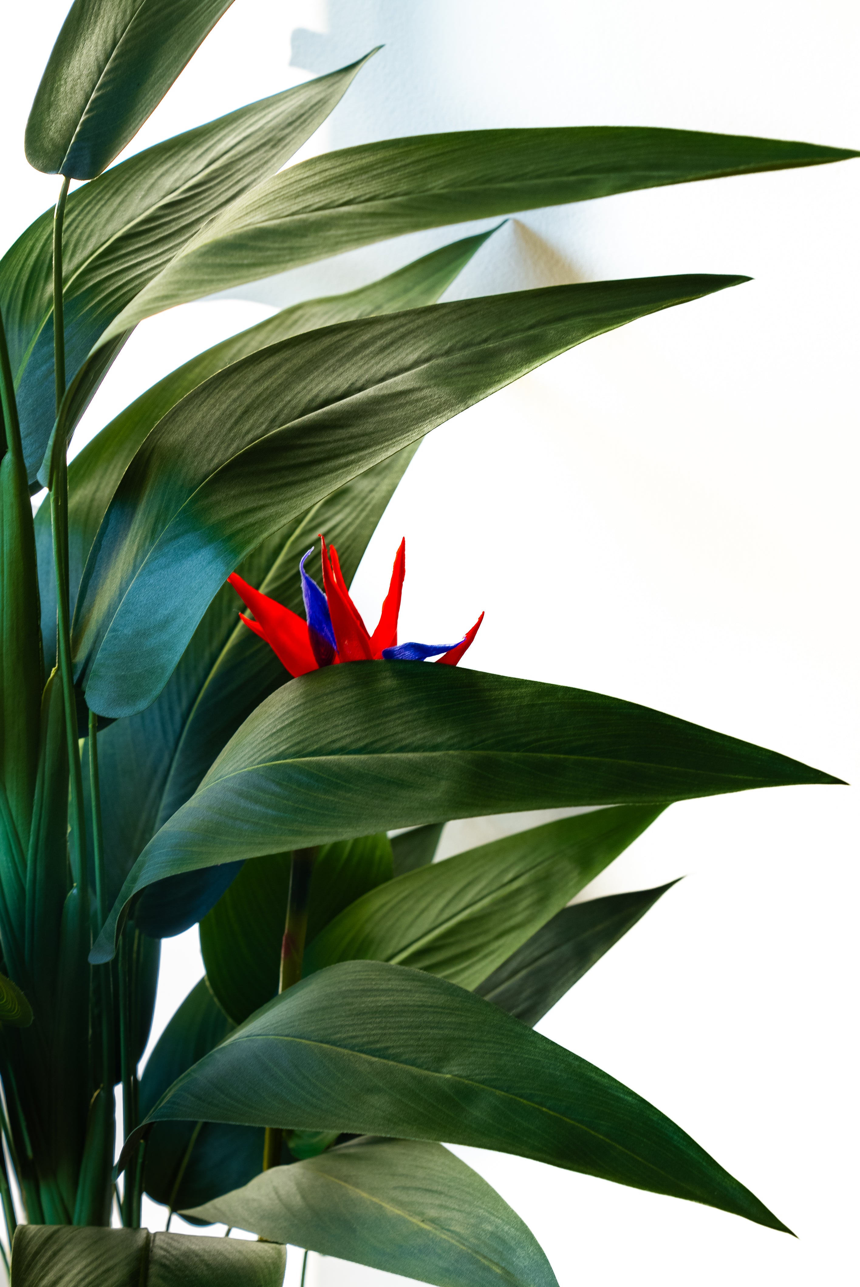 180cm Artificial Bird of Paradise