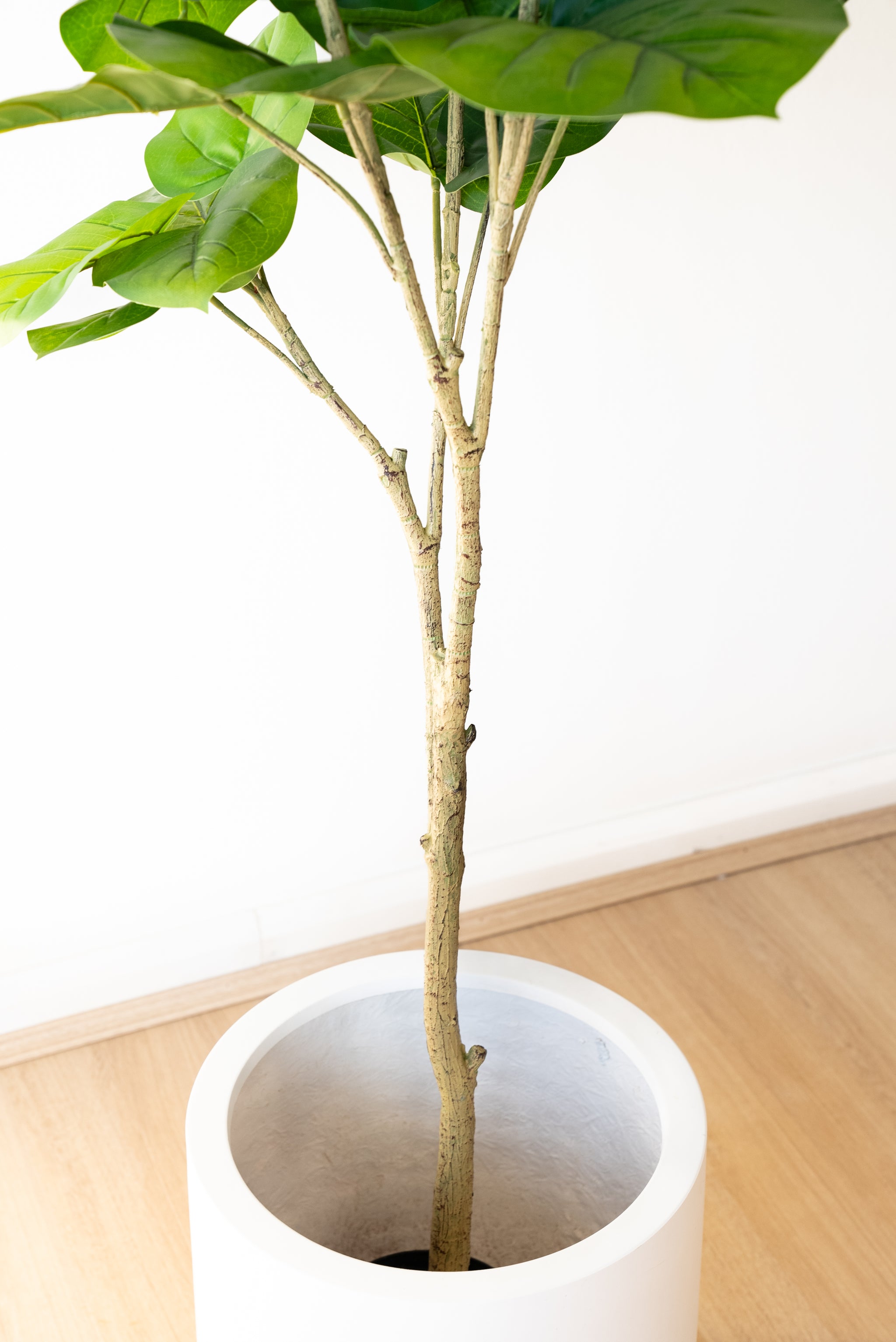 158cm Artificial Ficus