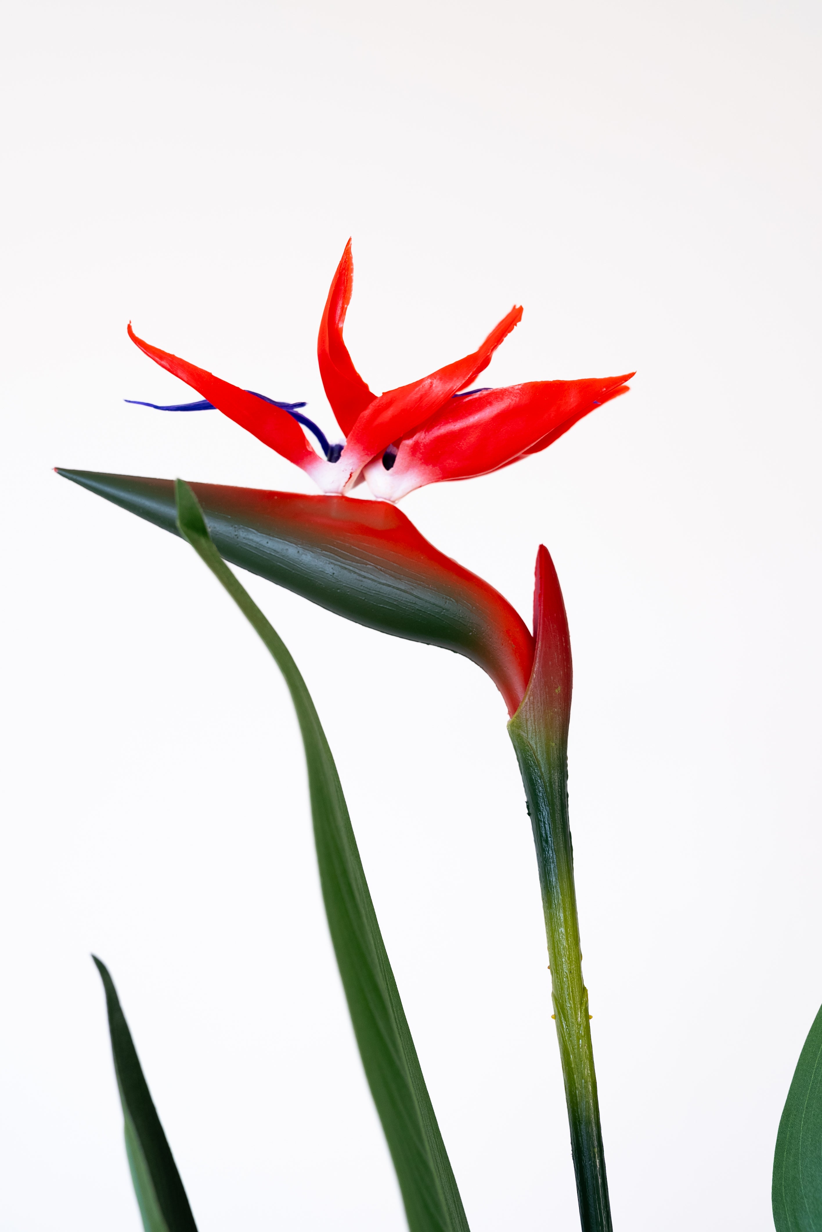 180cm Artificial Bird of Paradise