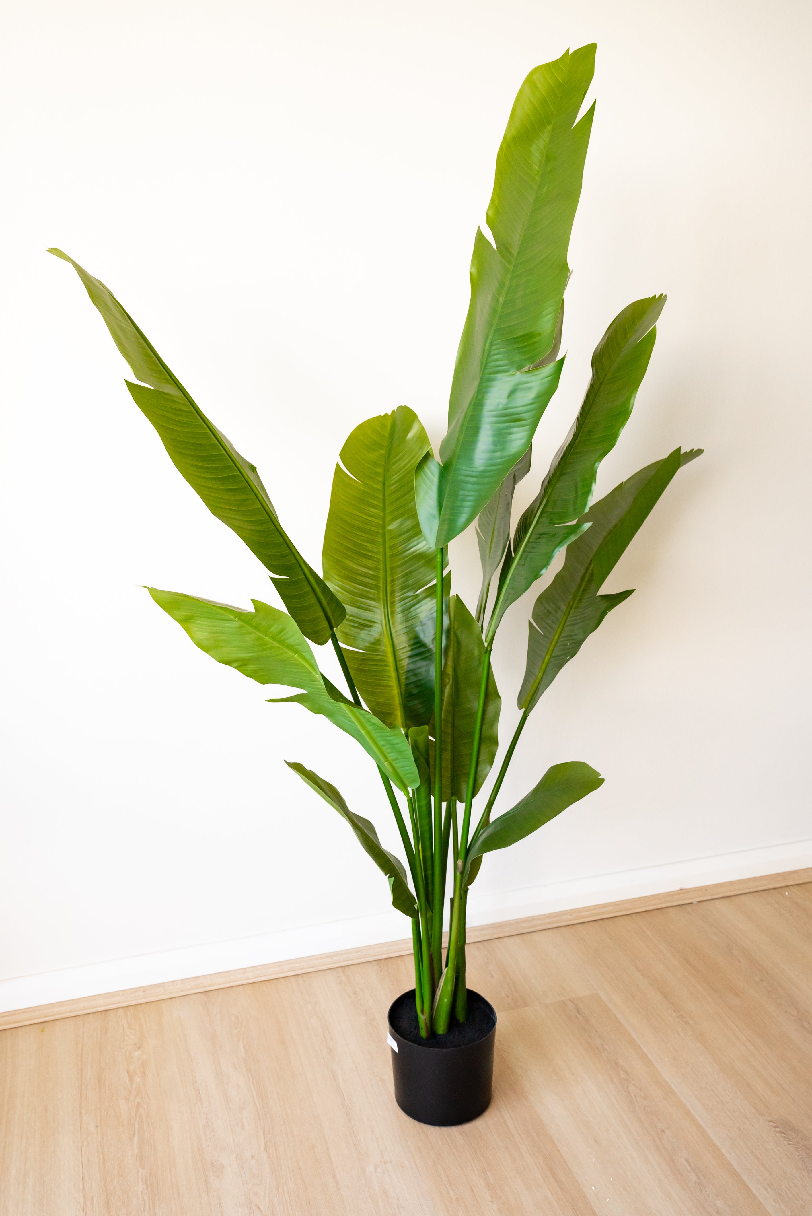 Artificial Strelitzia Nicolai