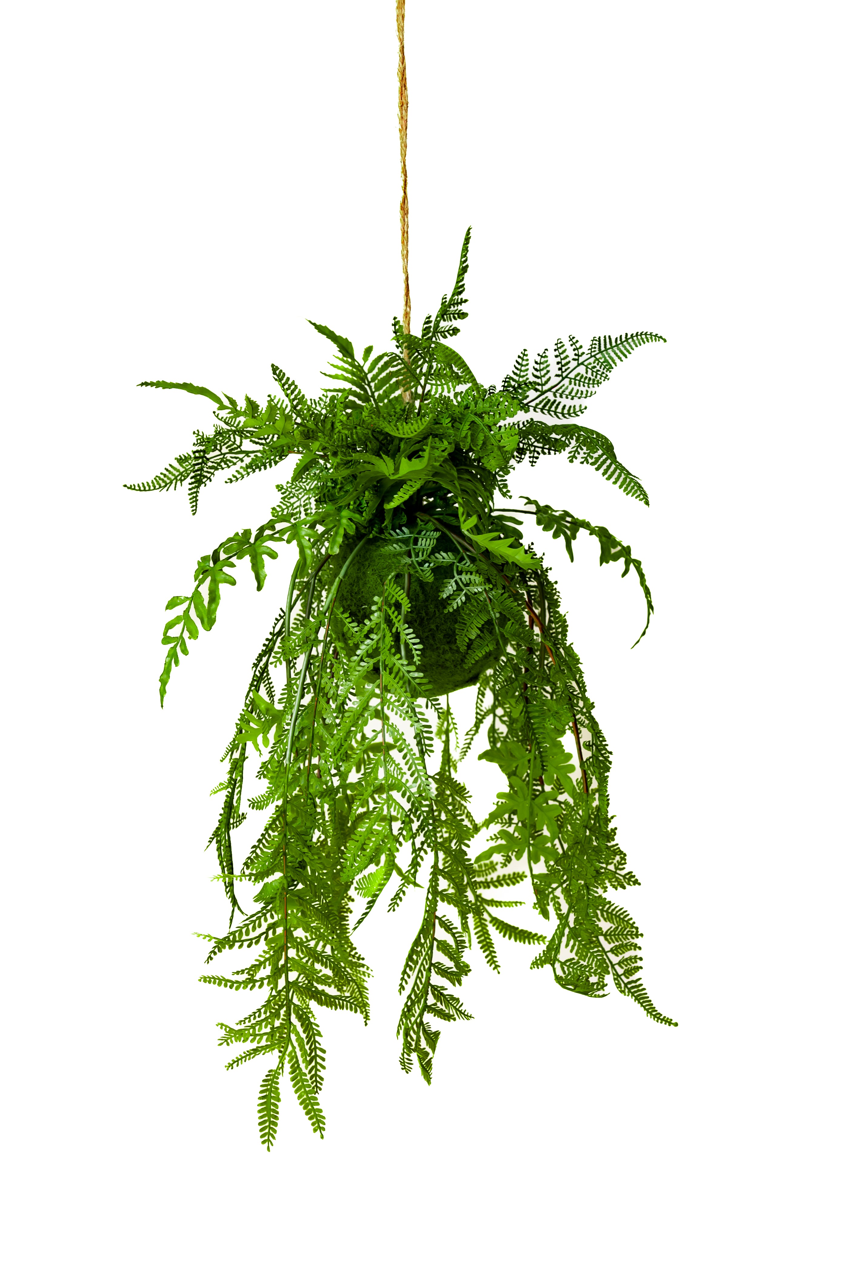 61cm Artificial Hanging Fern