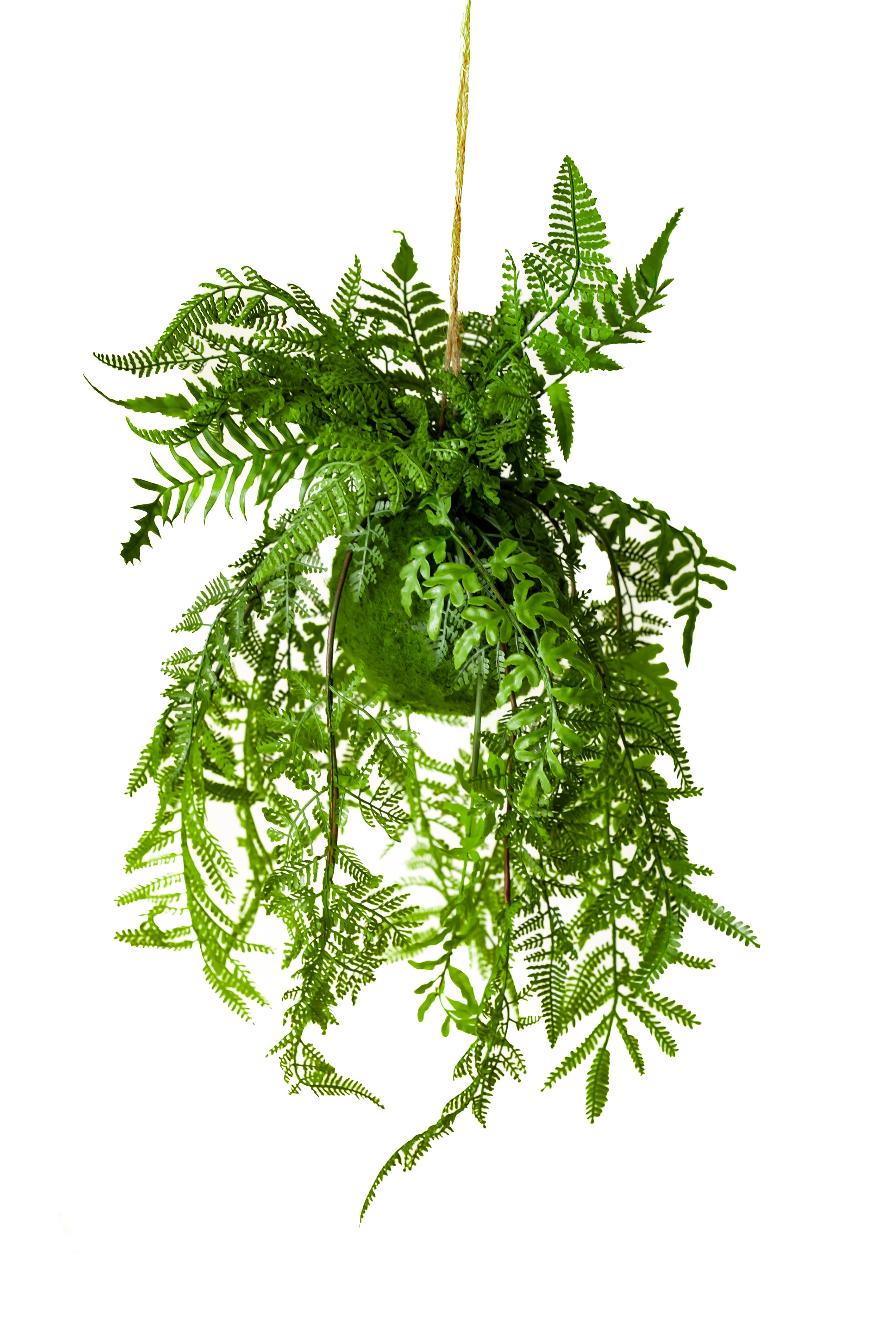 61cm Artificial Hanging Fern