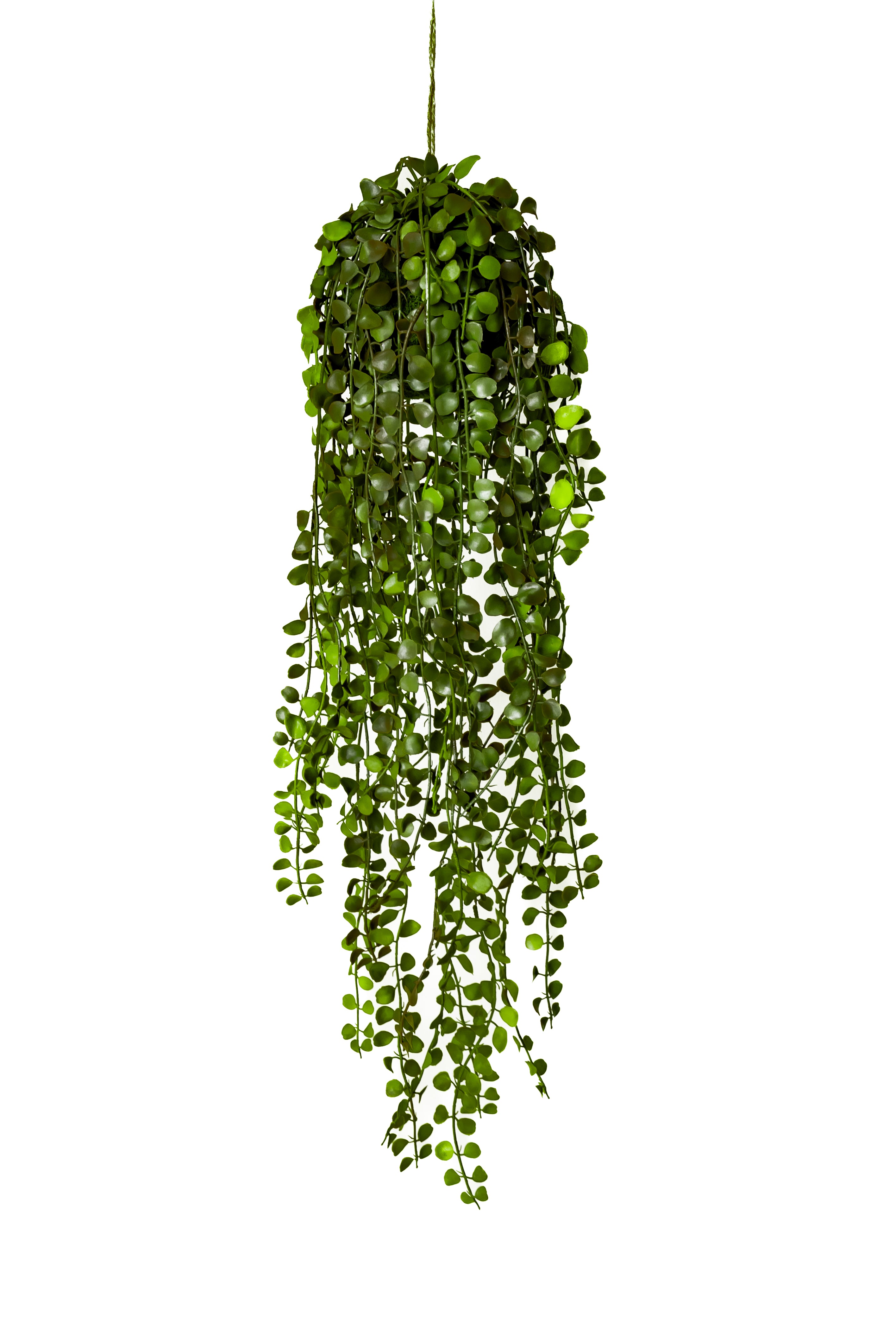 60cm hanging plant