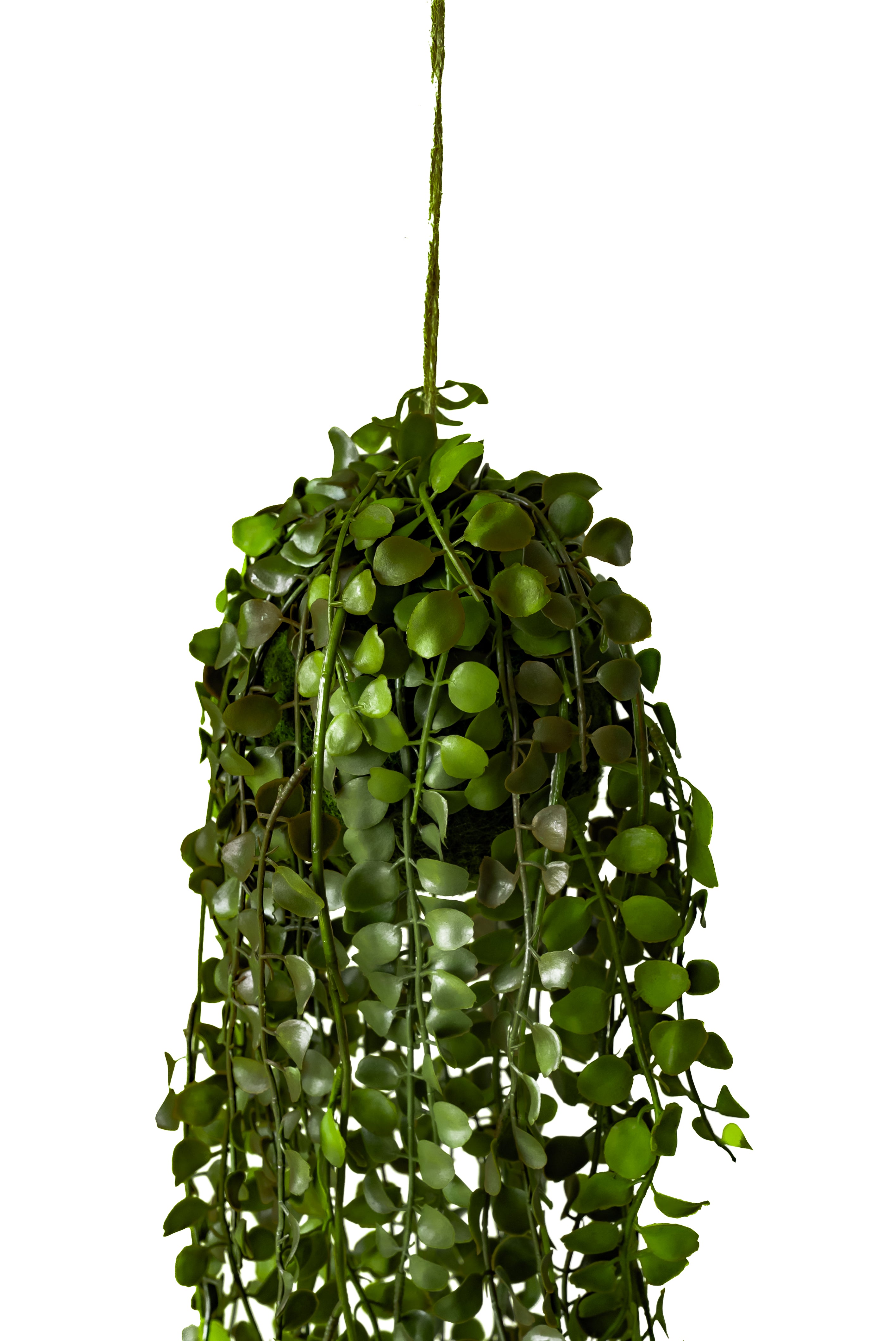 60cm hanging plant