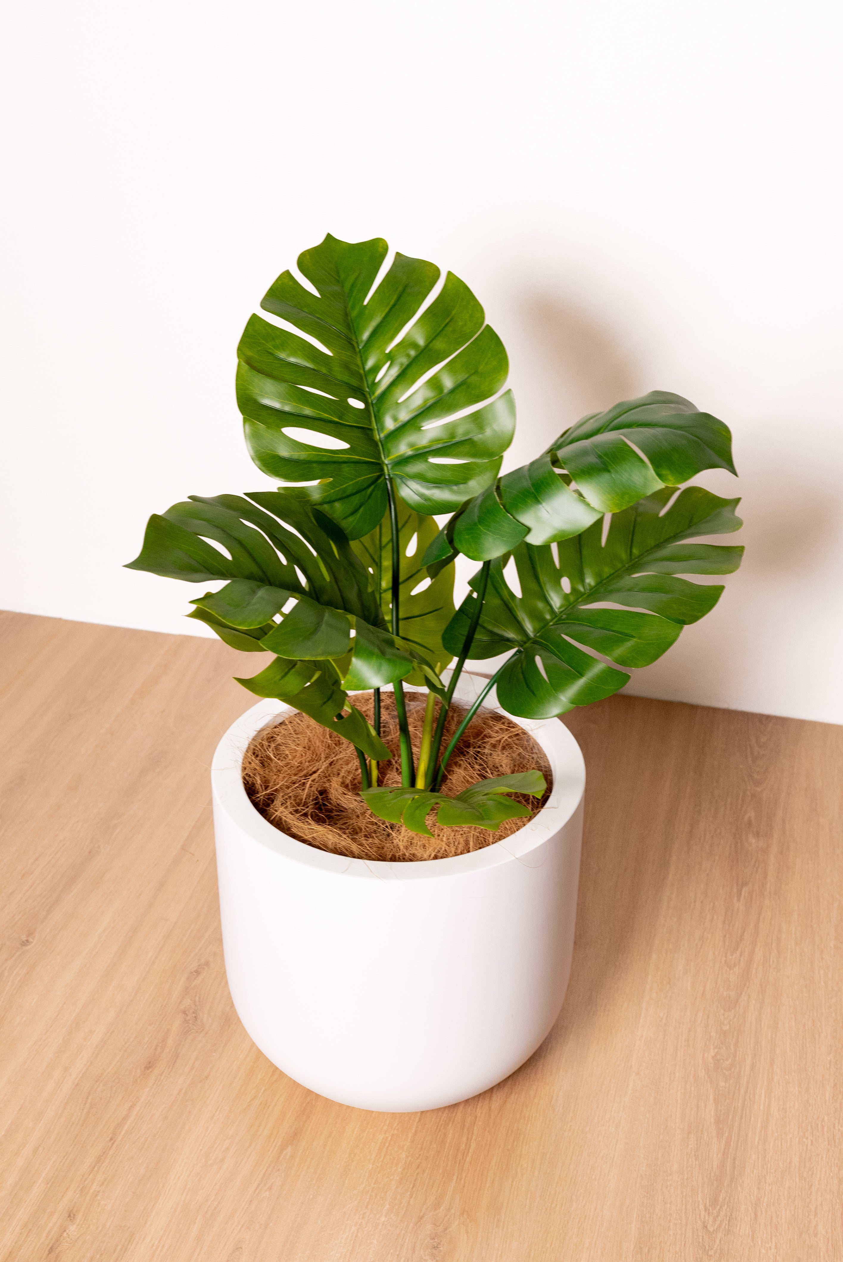 60cm Artificial Monstera