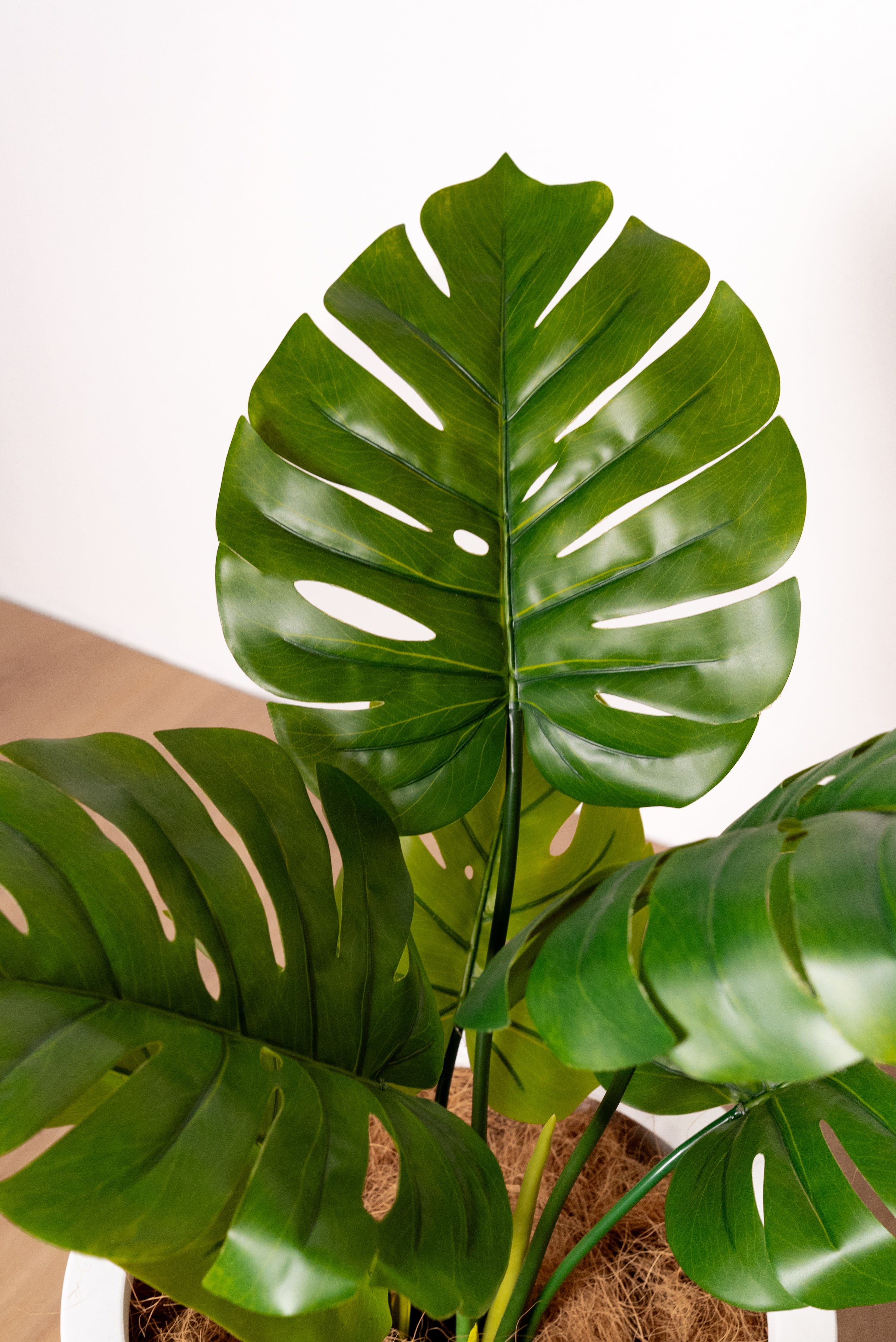 60cm Artificial Monstera