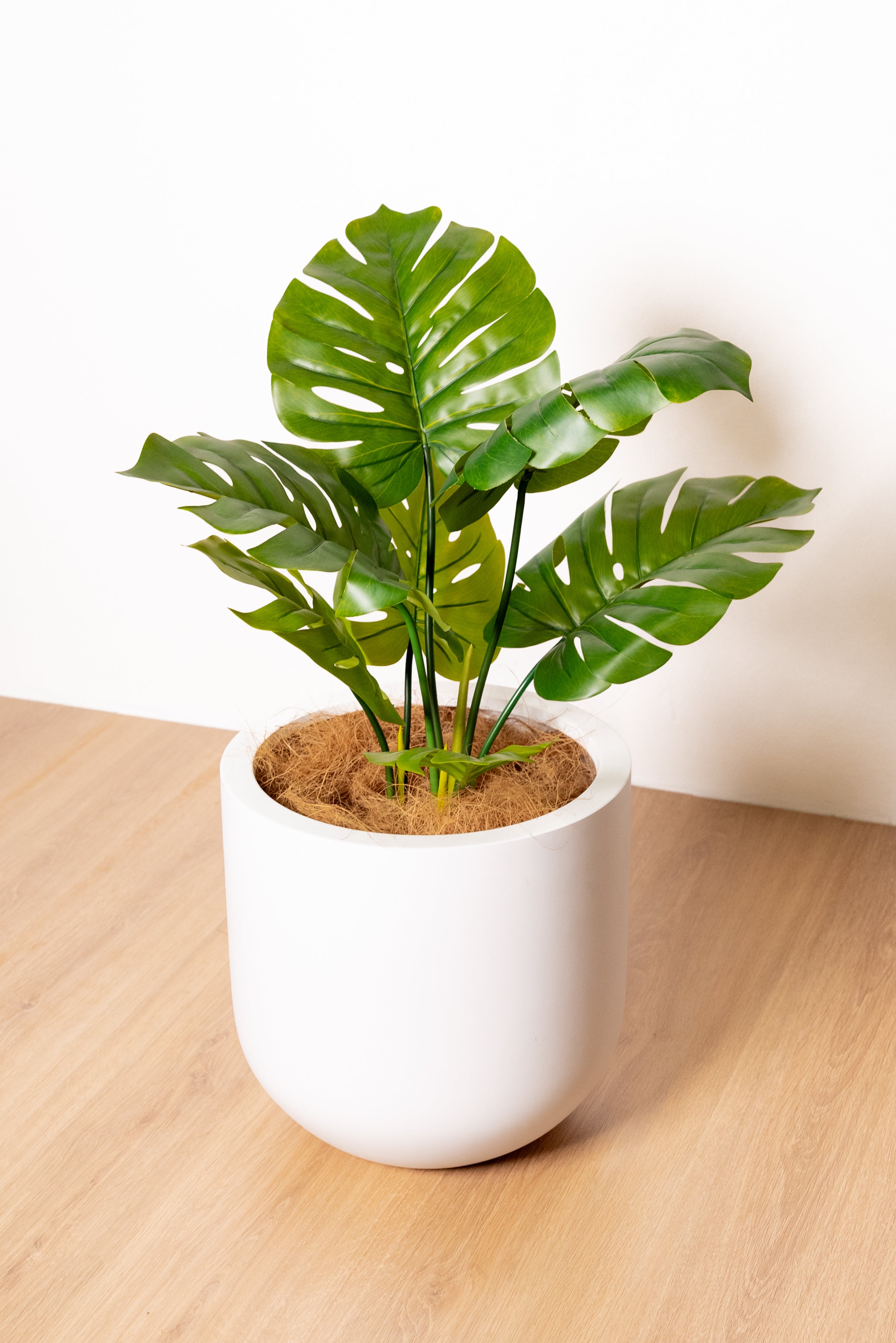 60cm Artificial Monstera