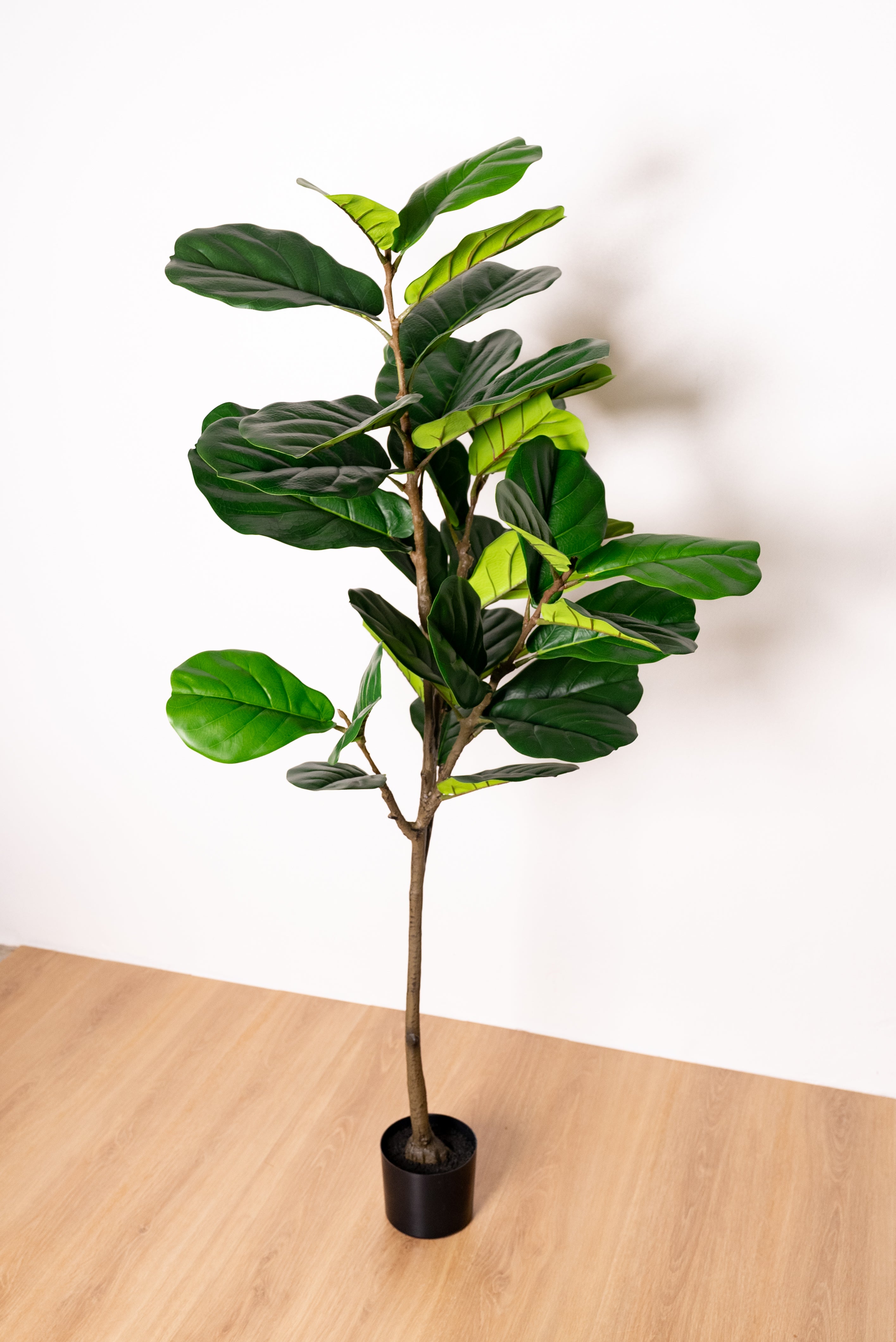 155cm Artificial Fiddle Leaf