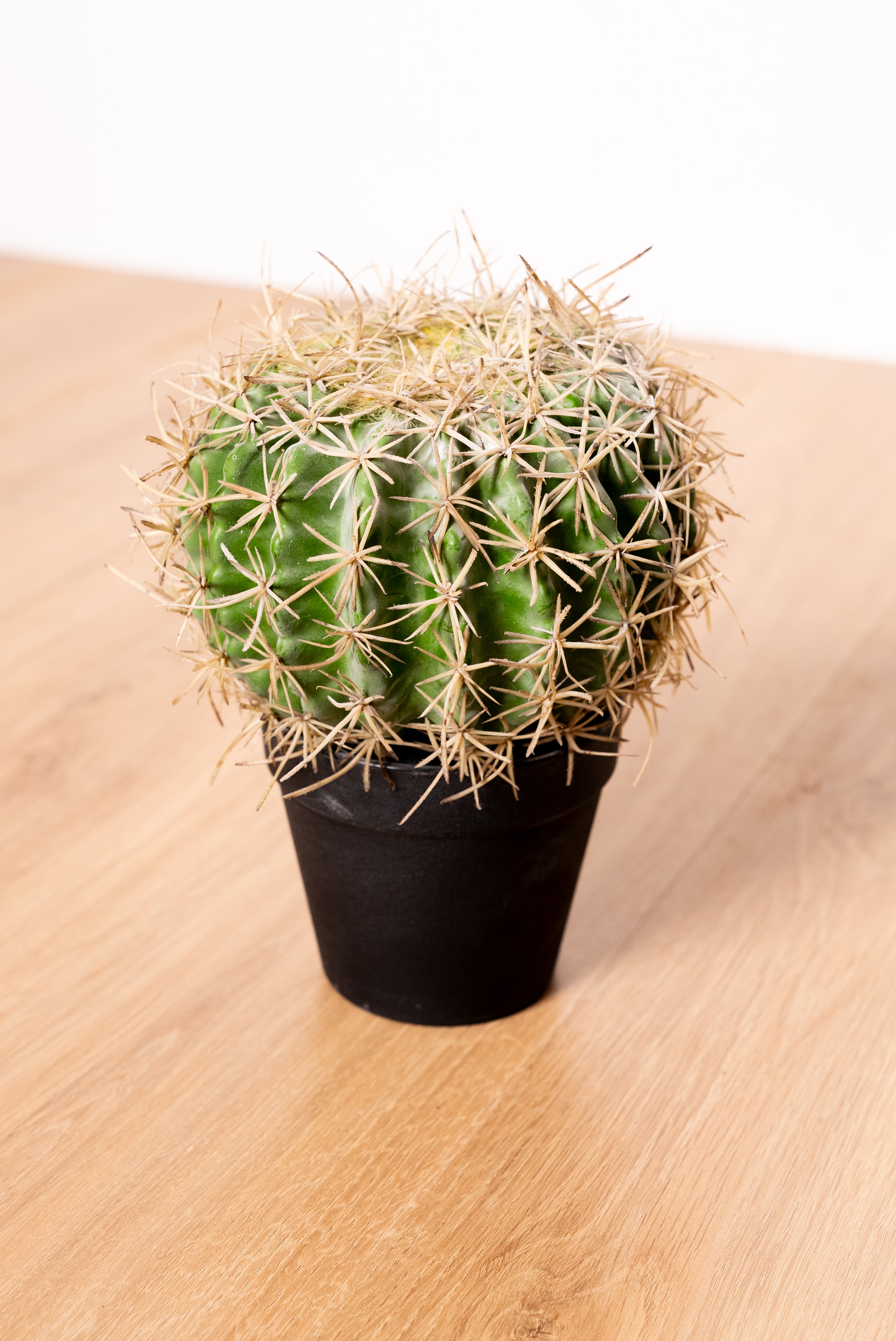 Small artificial cactus