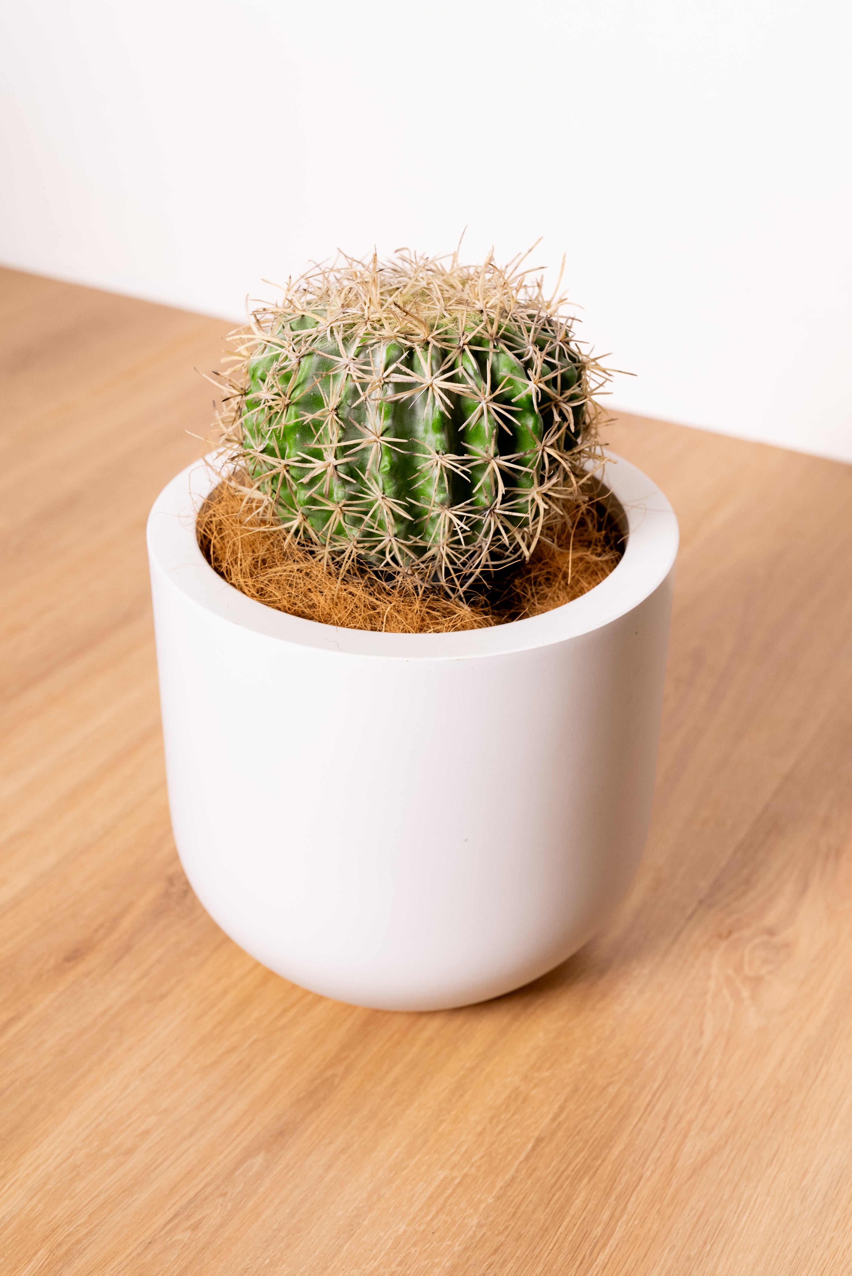 Small artificial cactus