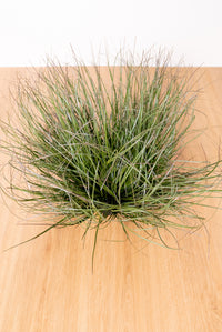 34cm Artificial Grass Shrub