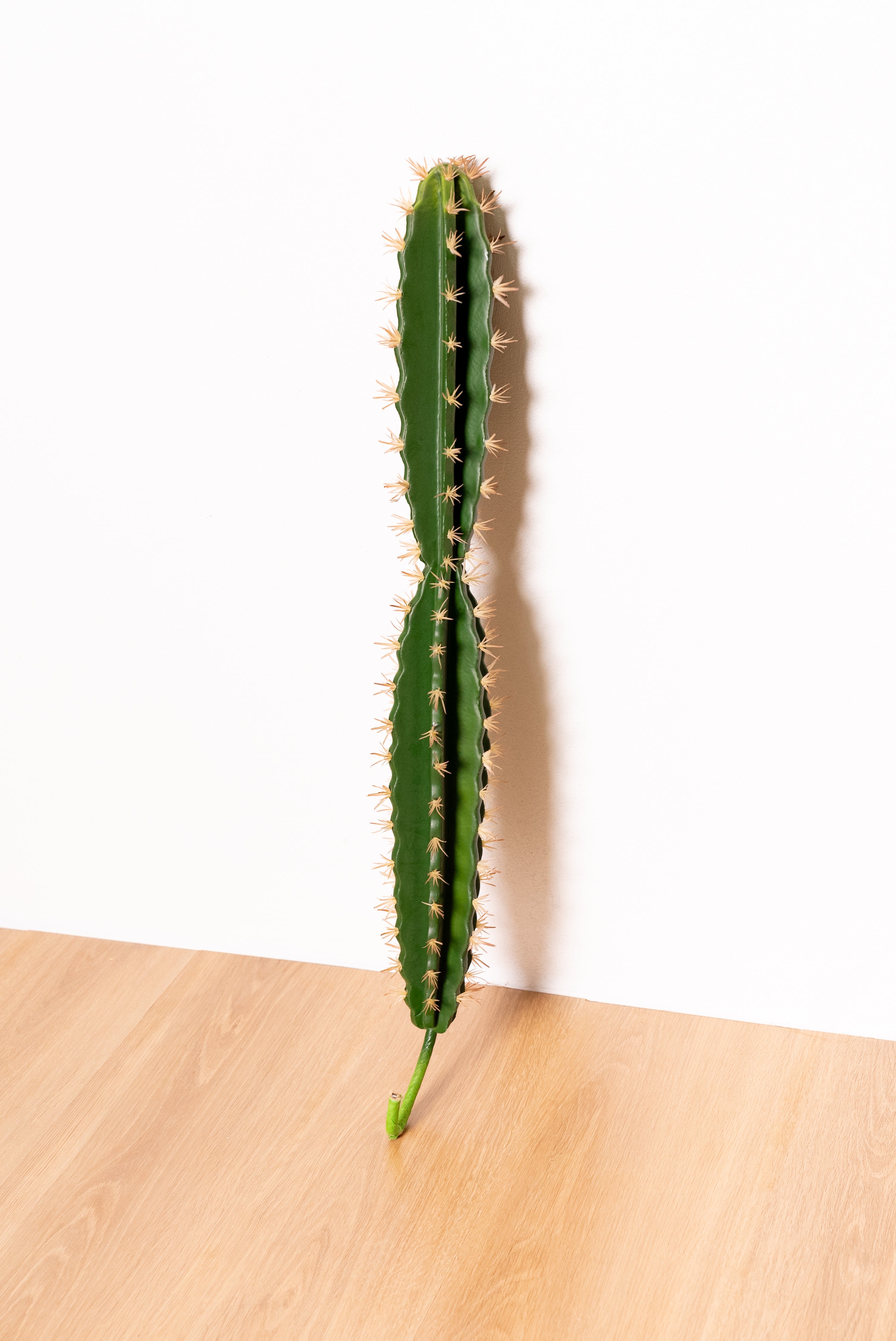 72cm Artificial Cactus