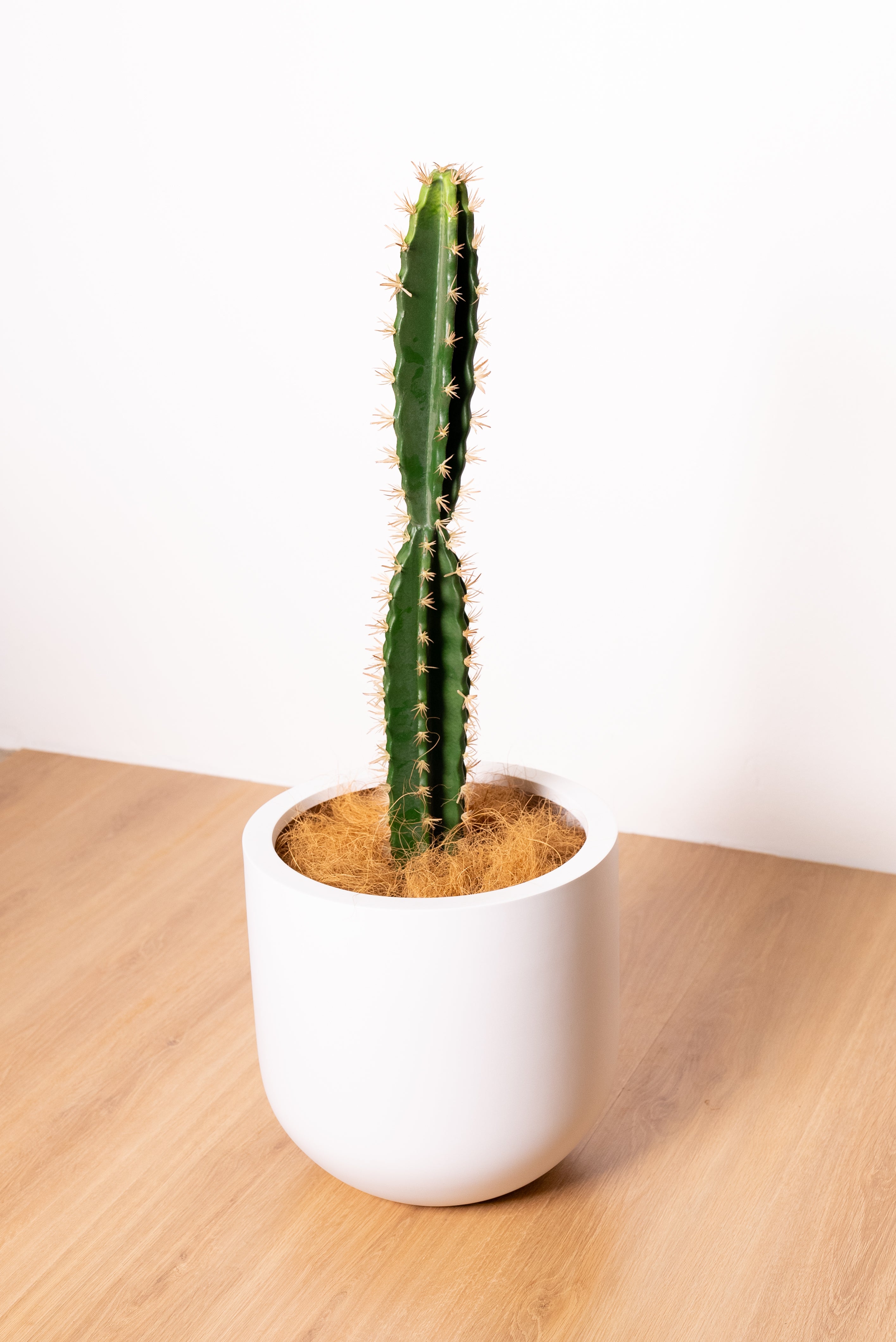 72cm Artificial Cactus