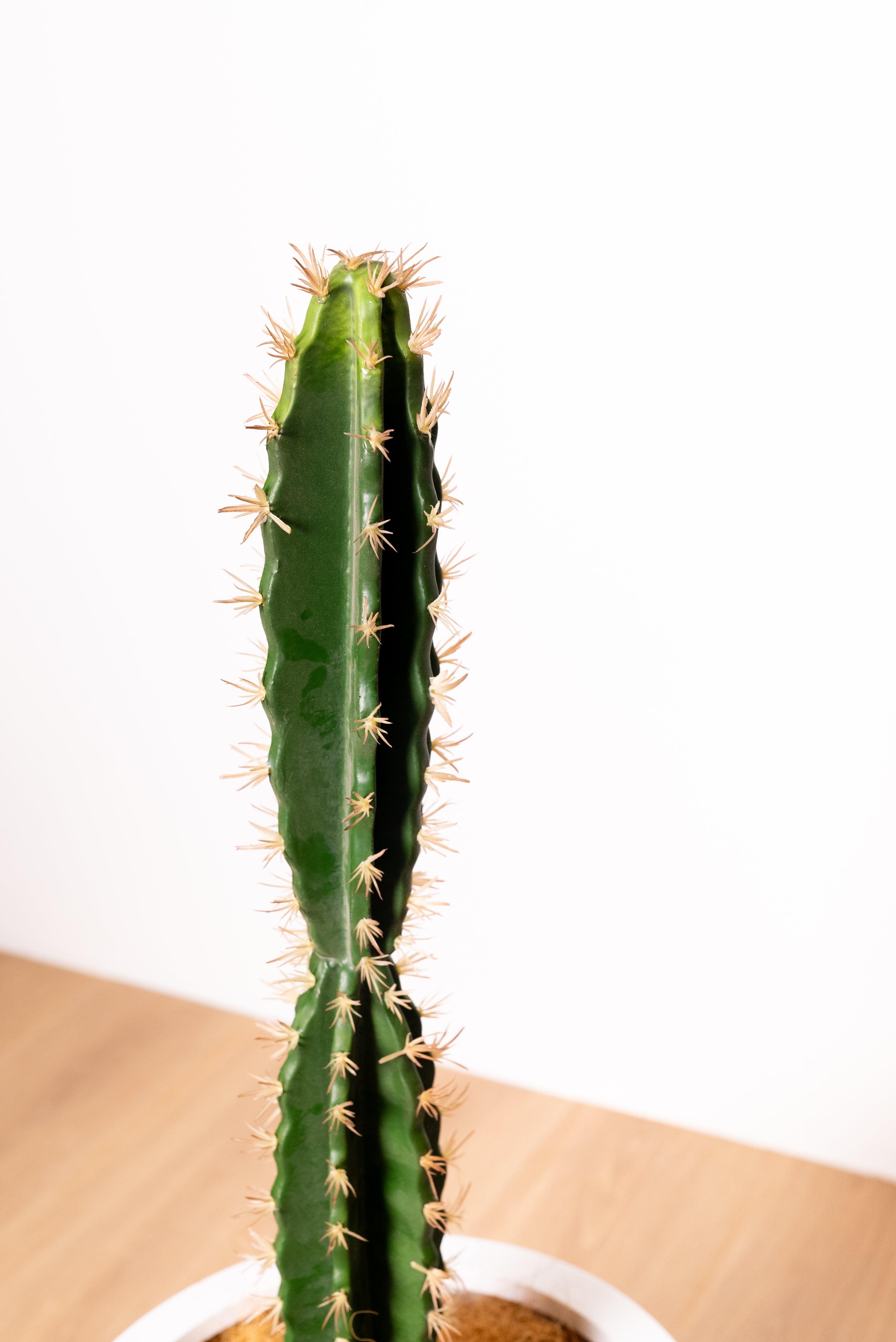 72cm Artificial Cactus