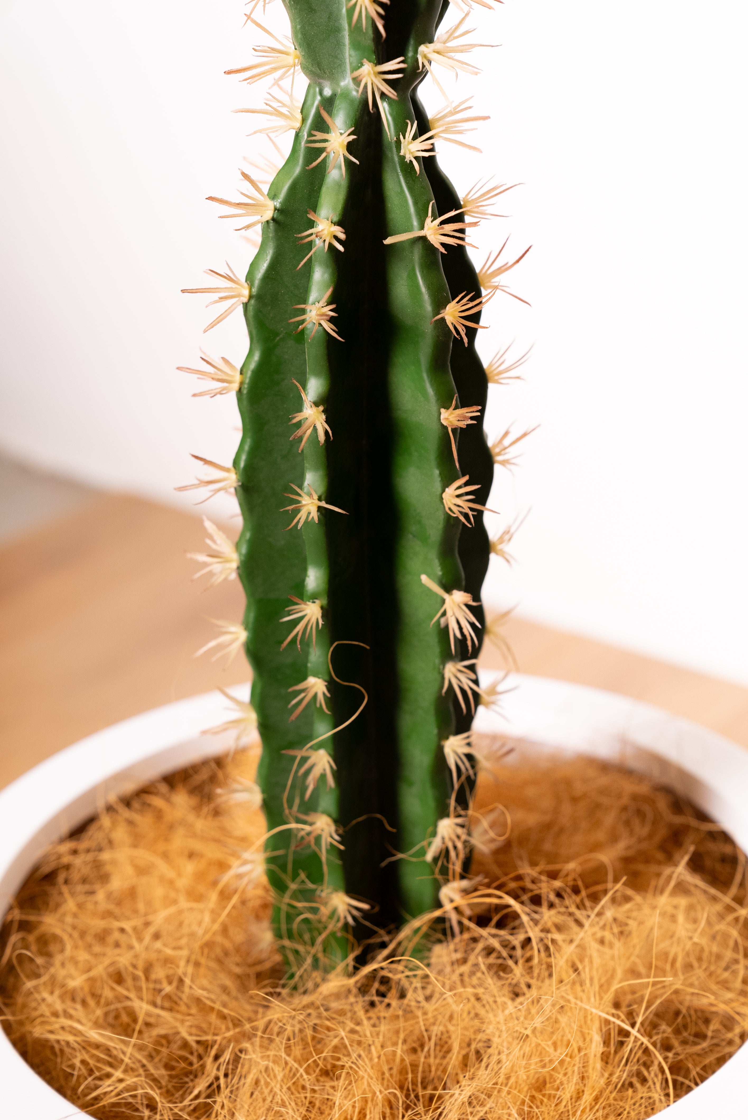 72cm Artificial Cactus