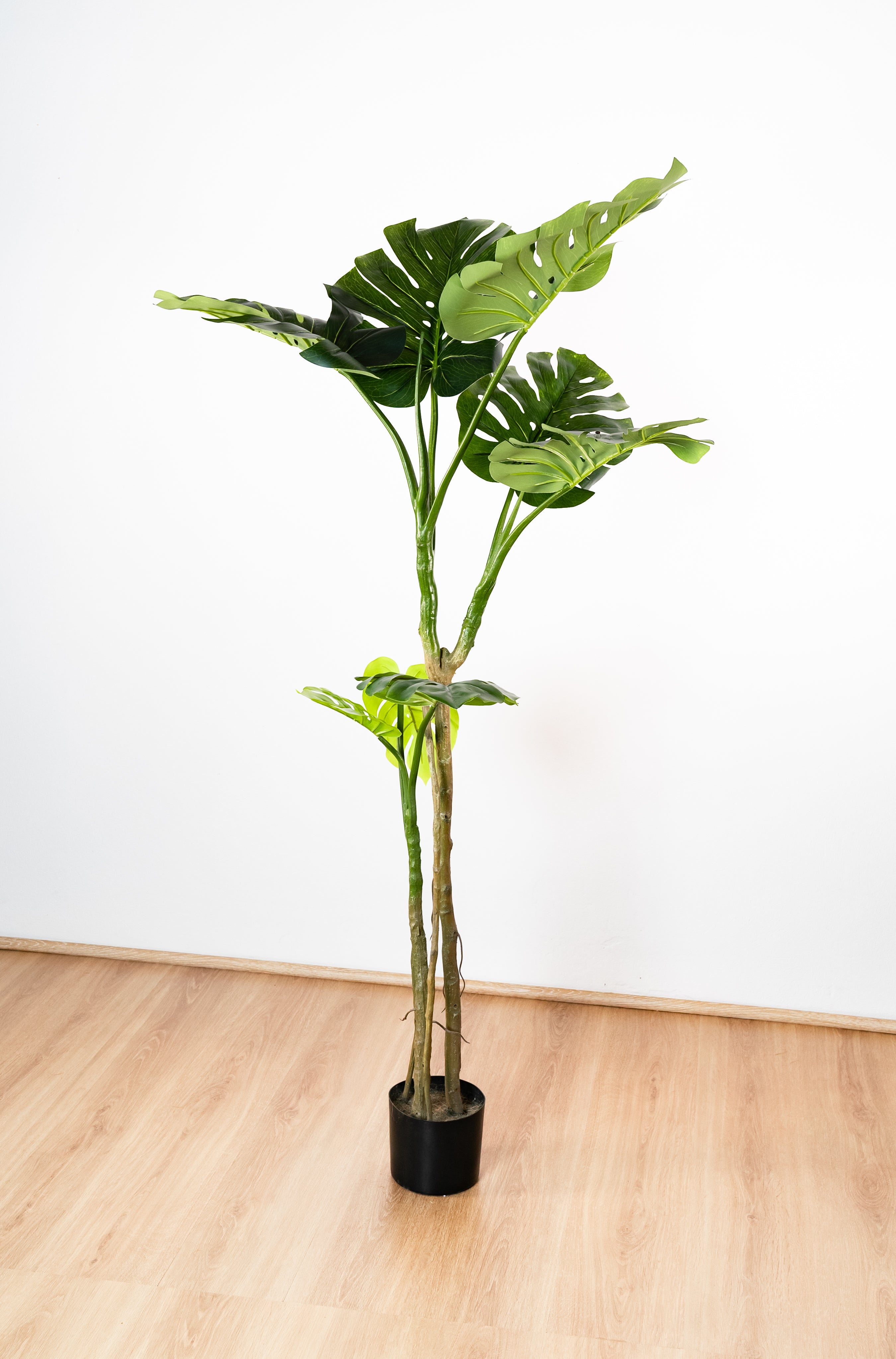 170cm Artificial Monstera