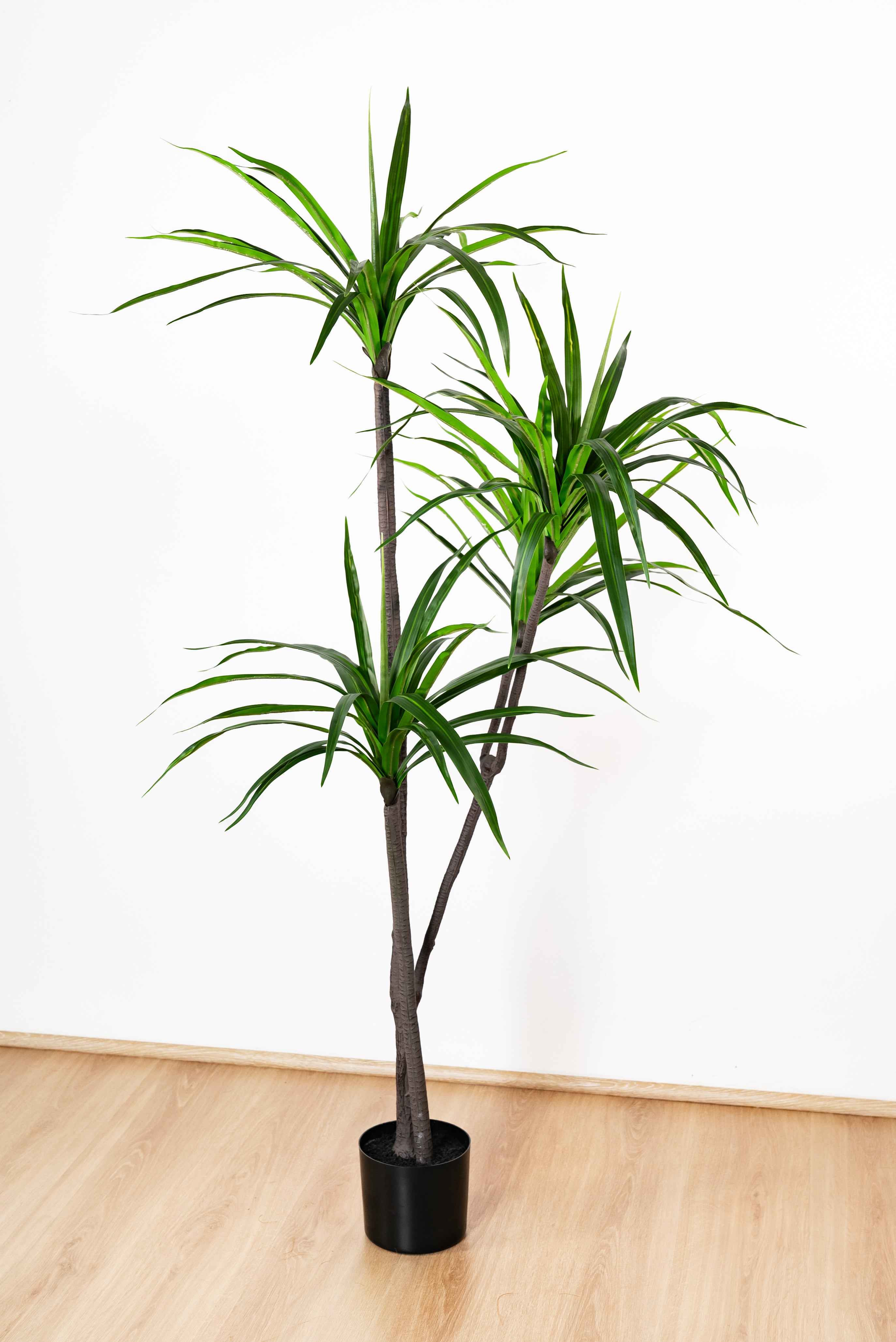 175cm Artificial Dracaena