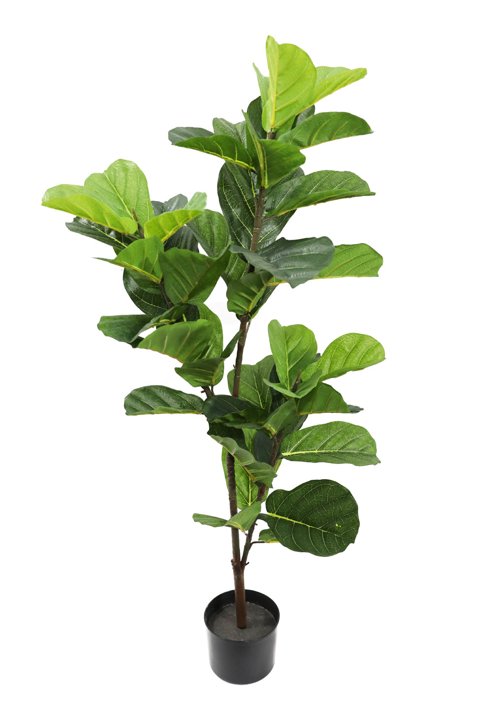 120cm Potted Artificial Fiddle Leaf