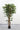 150cm Potted Artificial Ficus Tree