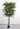 180cm Potted Artificial Ficus Tree