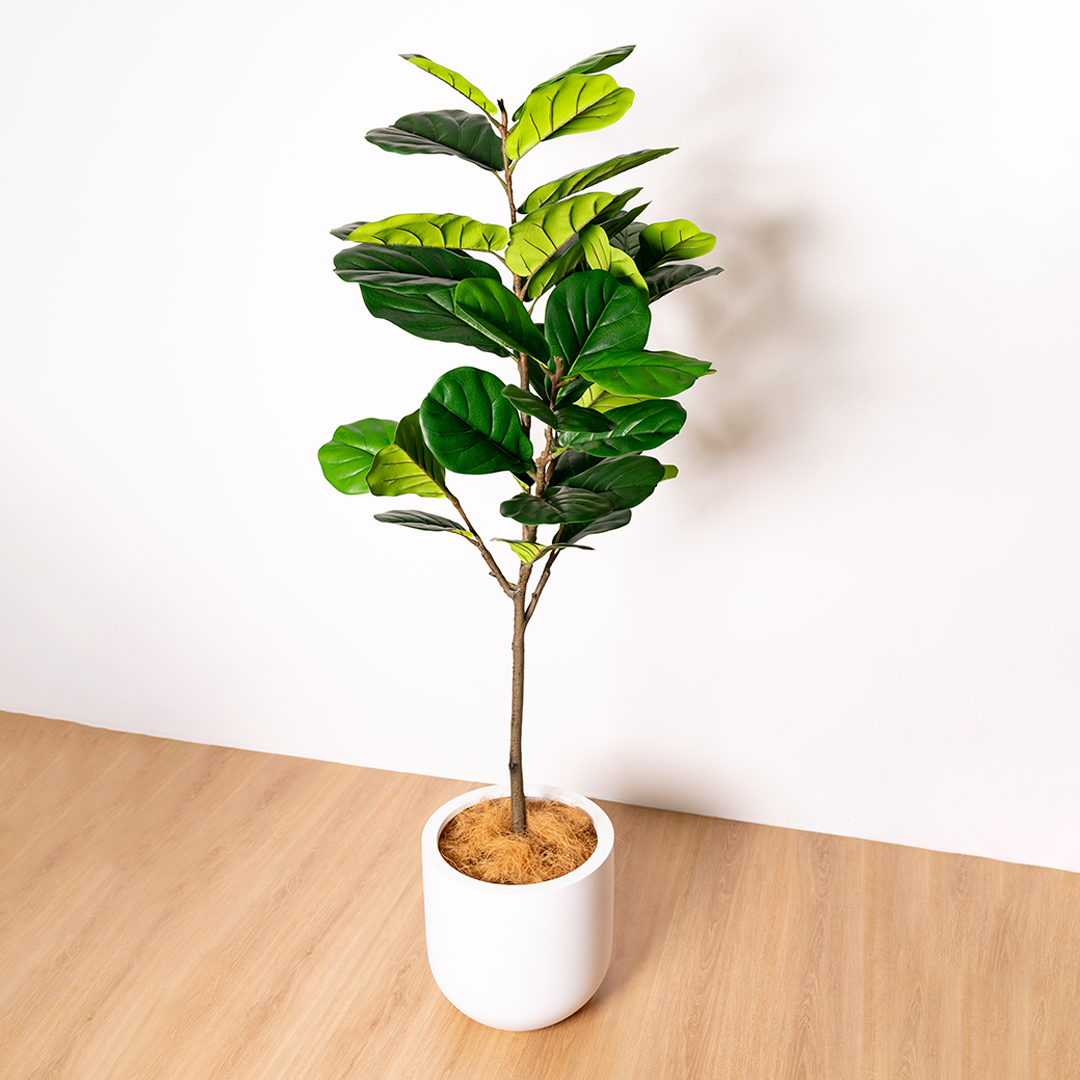 155cm Artificial Fiddle Leaf