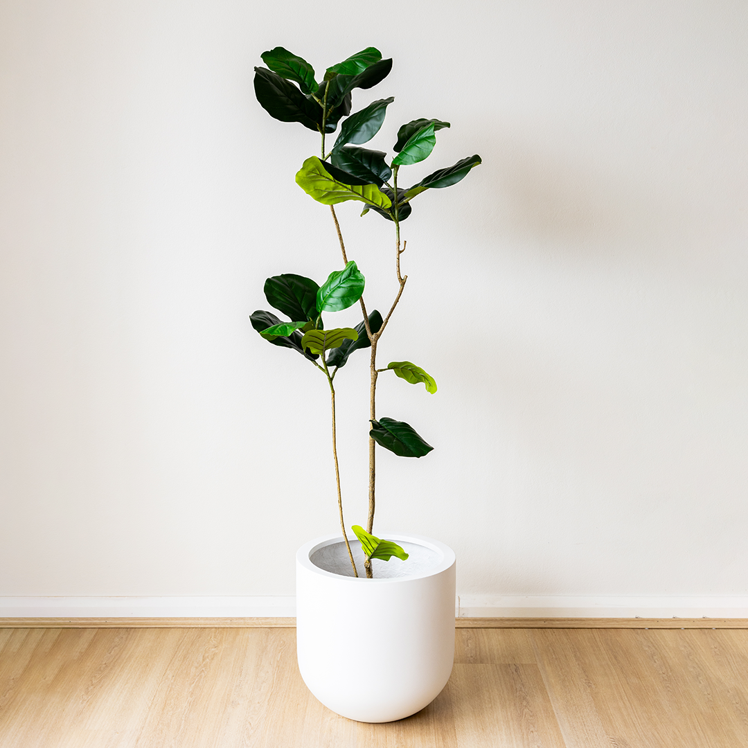 134cm Artificial Fiddle Leaf