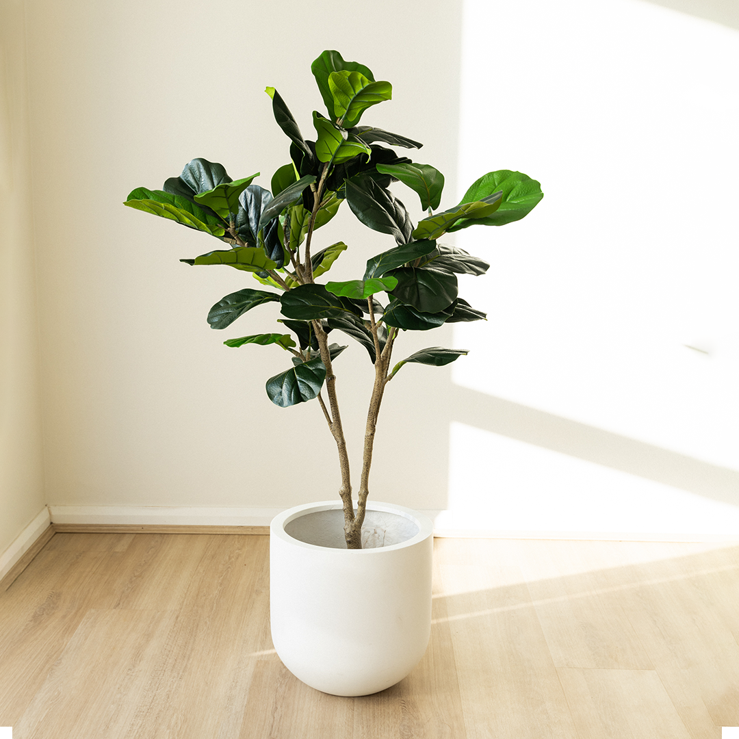 135cm Artificial Fiddle Leaf