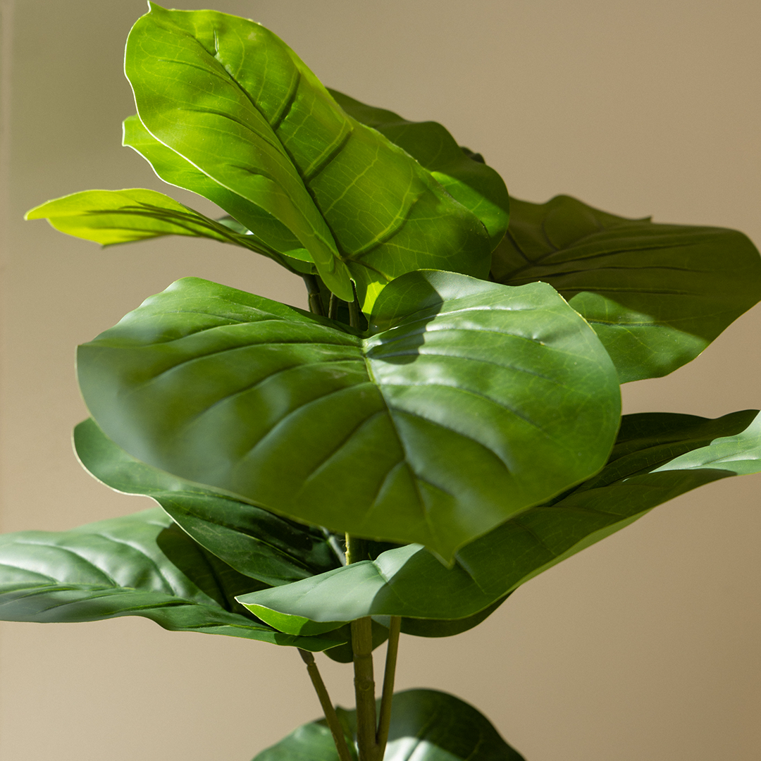 100cm Artificial Fiddle Leaf