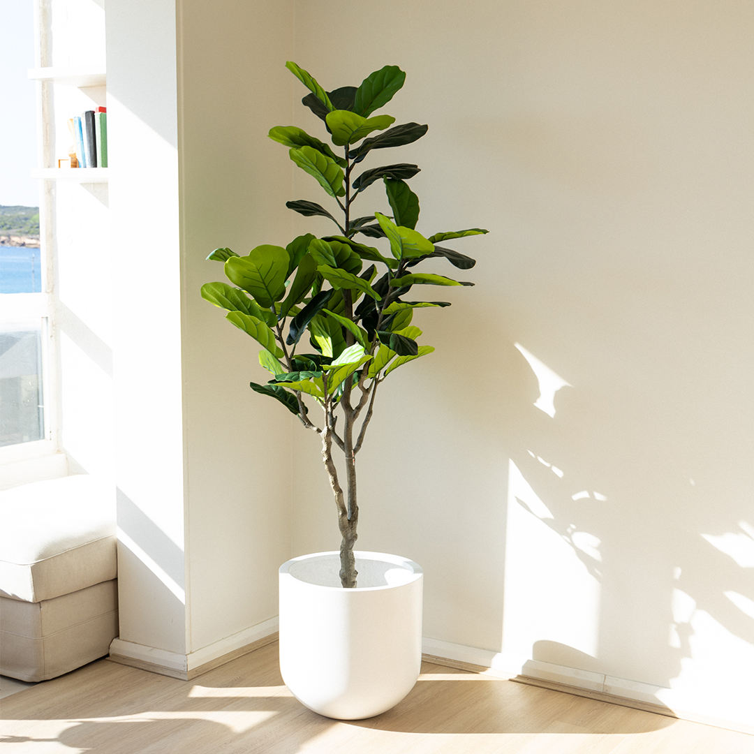 190cm Artificial Fiddle Leaf