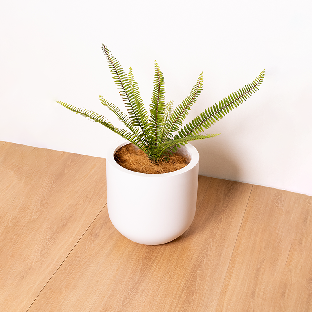 Artificial Fern