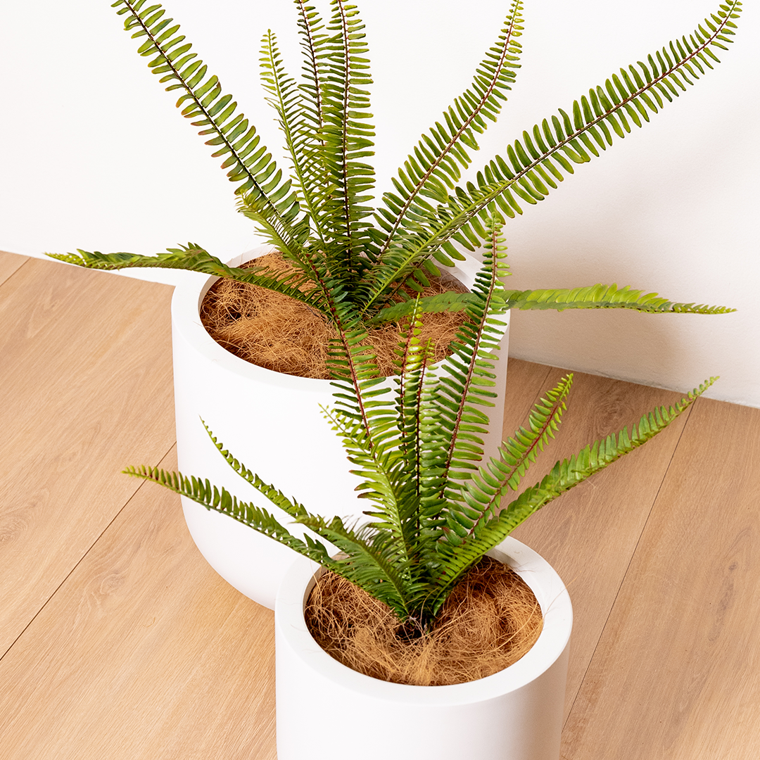 Artificial Fern