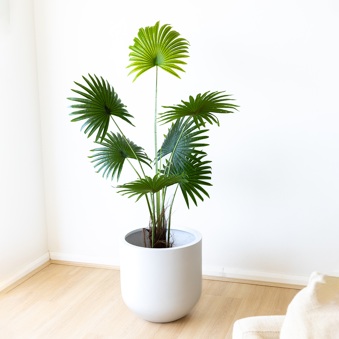 155cm Artificial Fan Palm Tree