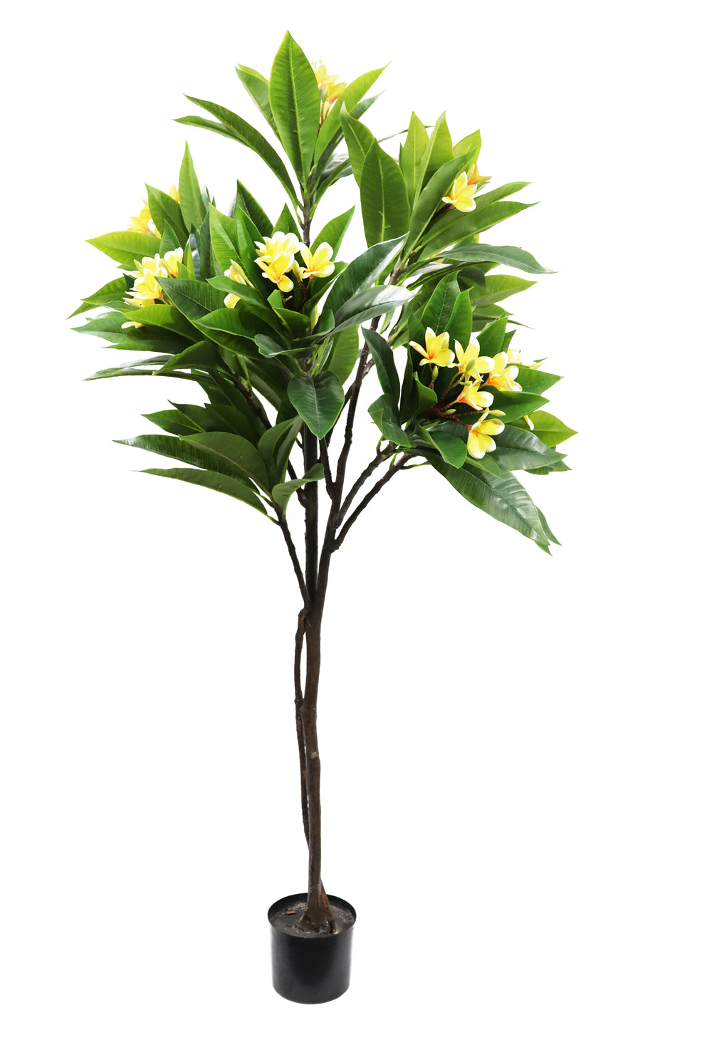 160cm Potted Artificial Frangipani